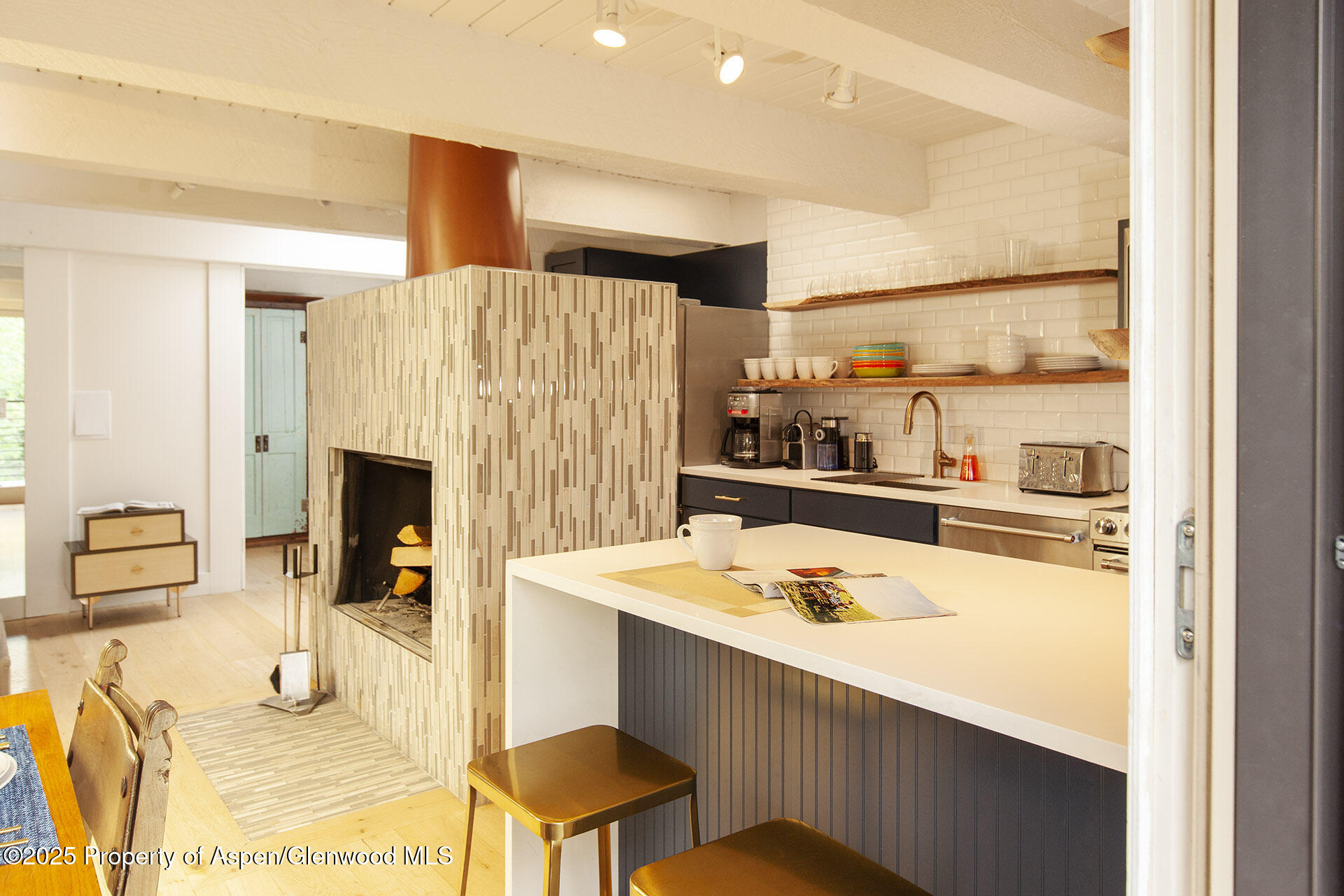 1039 E Cooper Avenue Aspen CO 81611