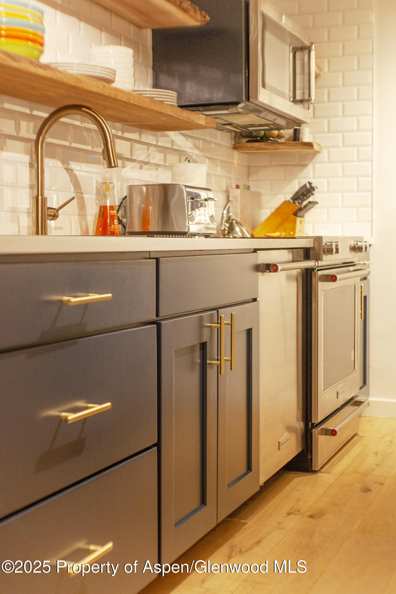 1039 E Cooper Avenue Aspen CO 81611