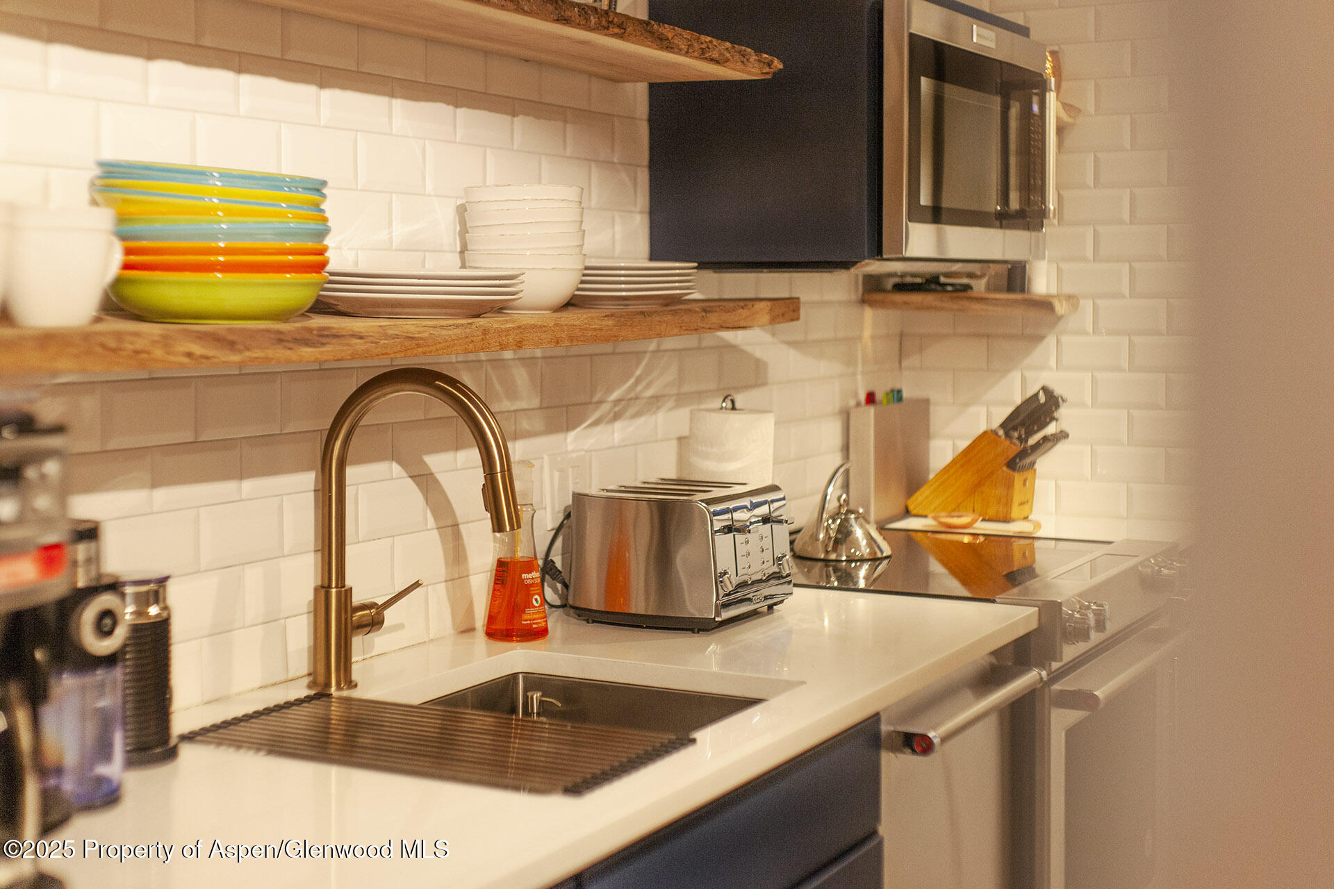 1039 E Cooper Avenue Aspen CO 81611