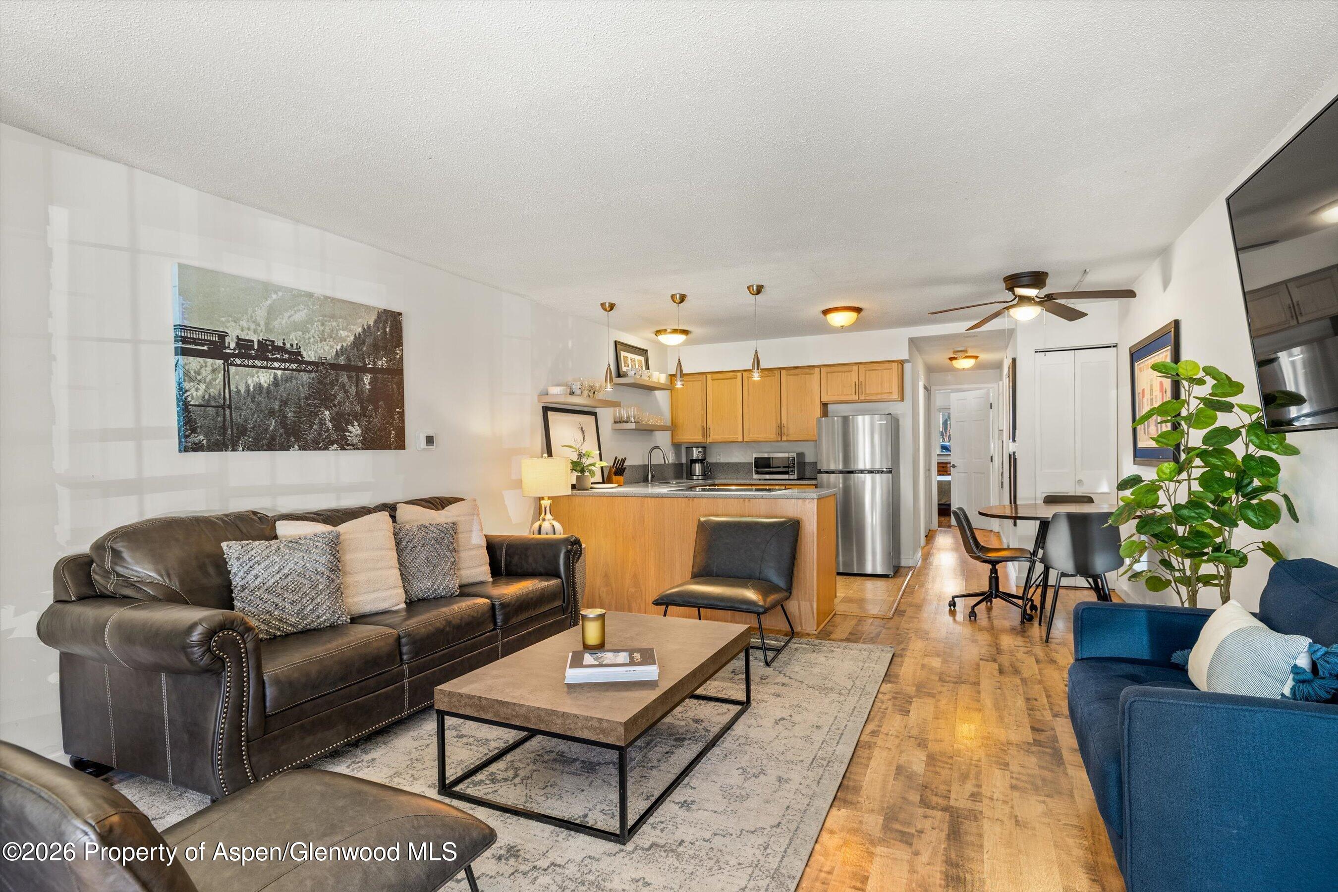 210 E Cooper Avenue Aspen CO 81611