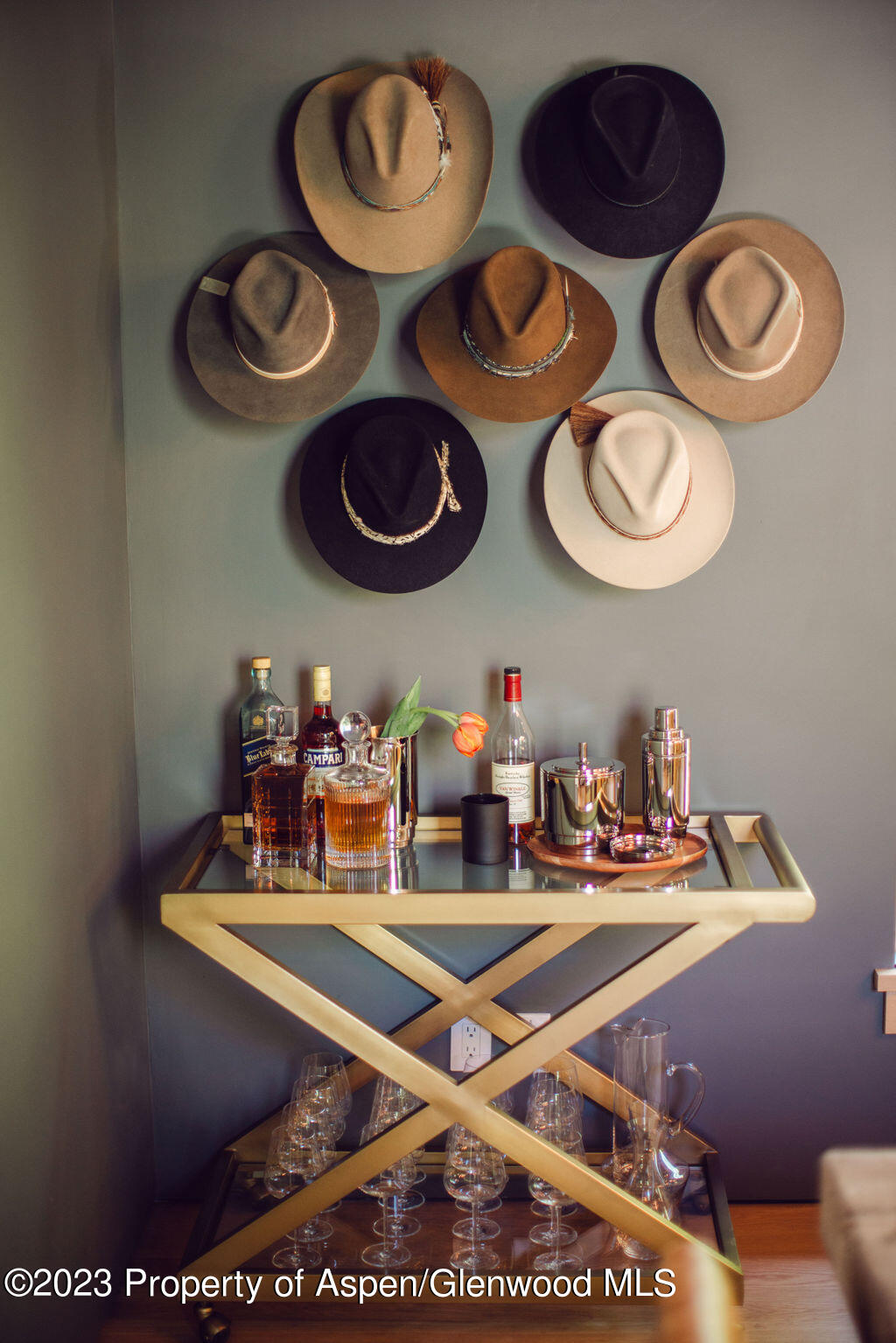 1006 E Cooper Avenue Aspen CO 81611