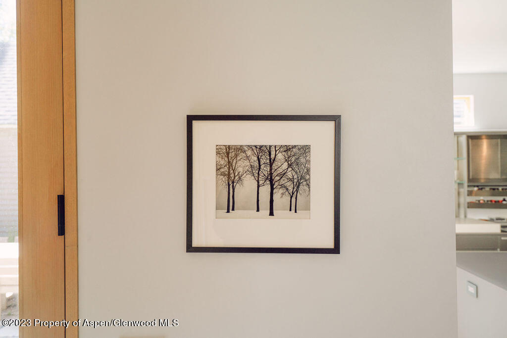 1006 E Cooper Avenue Aspen CO 81611