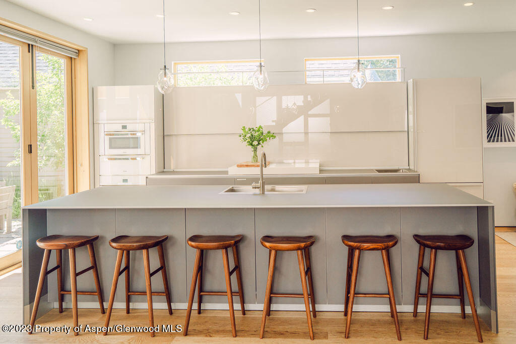 1006 E Cooper Avenue Aspen CO 81611