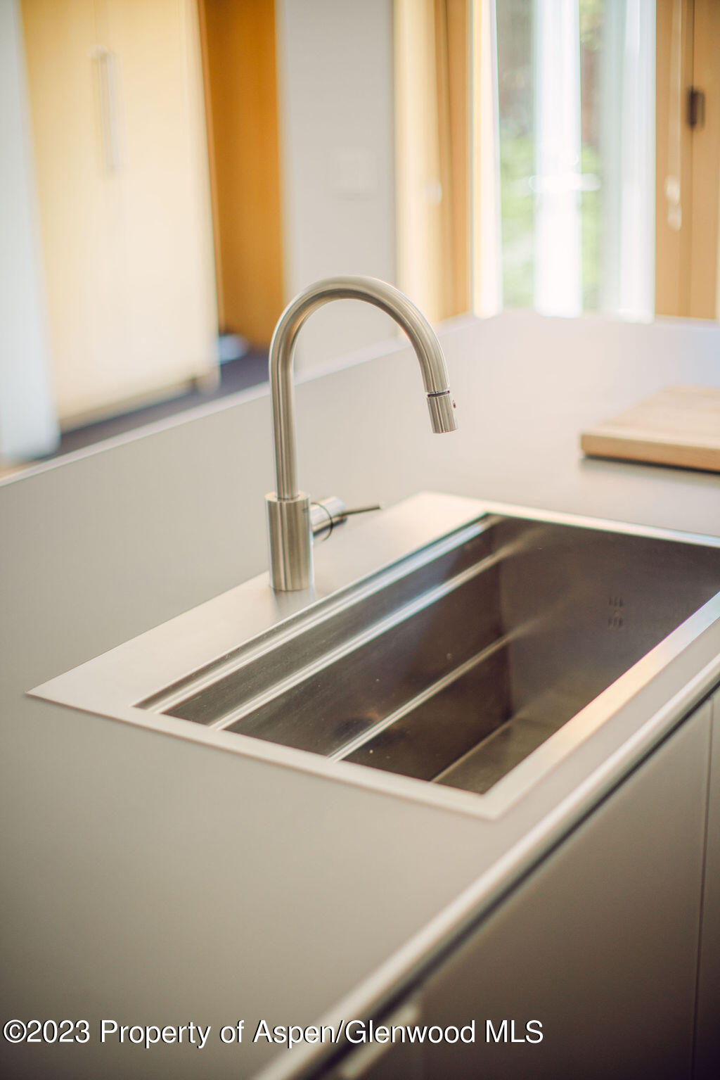 1006 E Cooper Avenue Aspen CO 81611