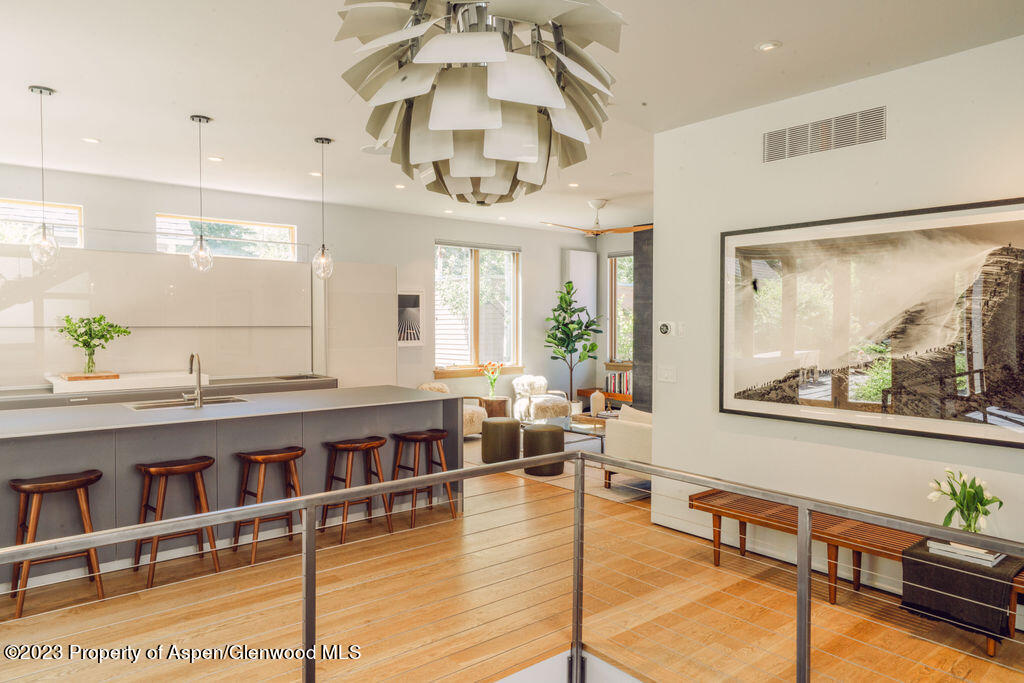 1006 E Cooper Avenue Aspen CO 81611