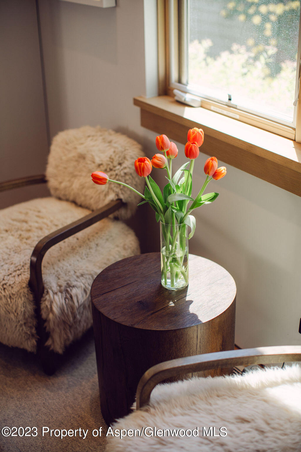 1006 E Cooper Avenue Aspen CO 81611