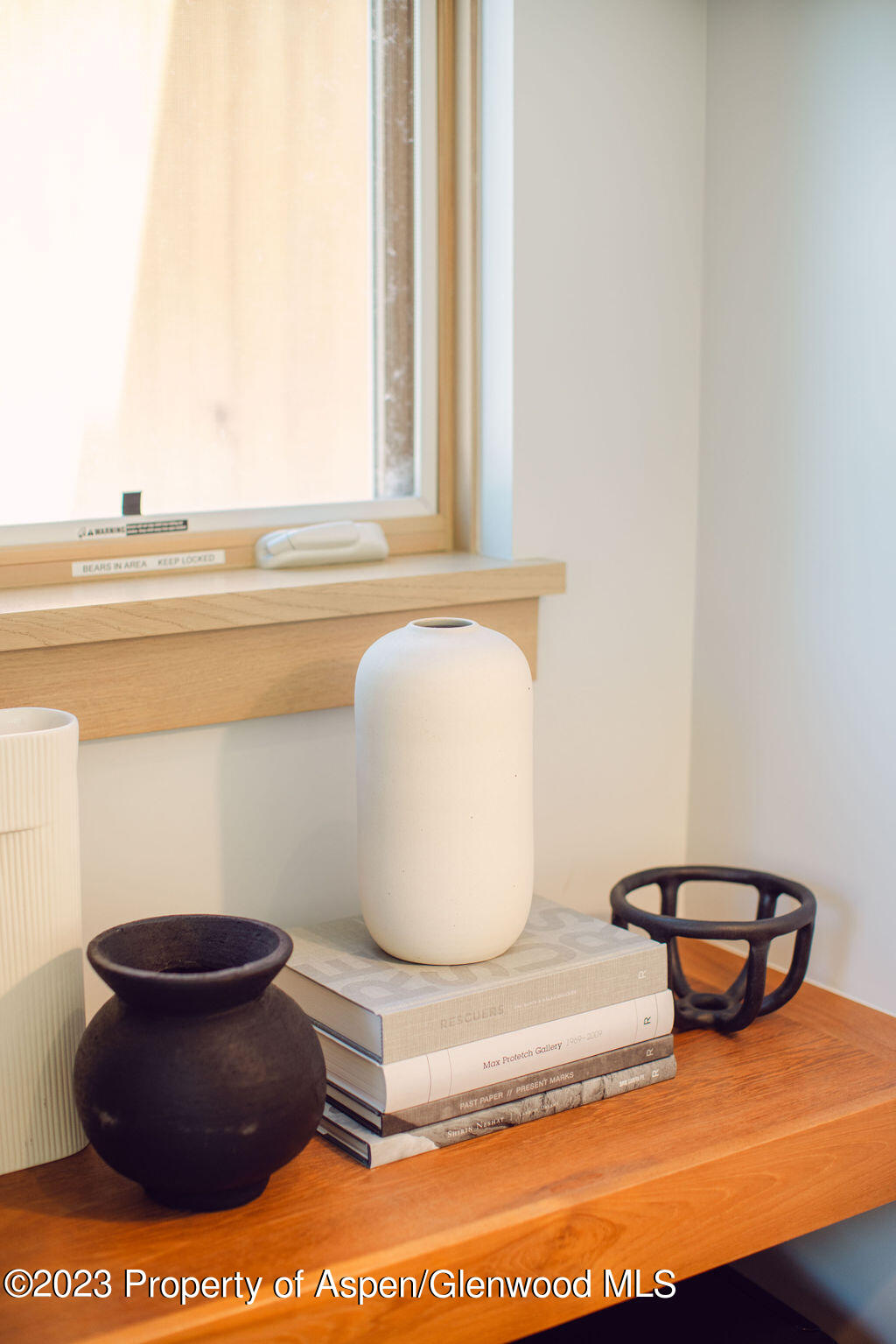 1006 E Cooper Avenue Aspen CO 81611