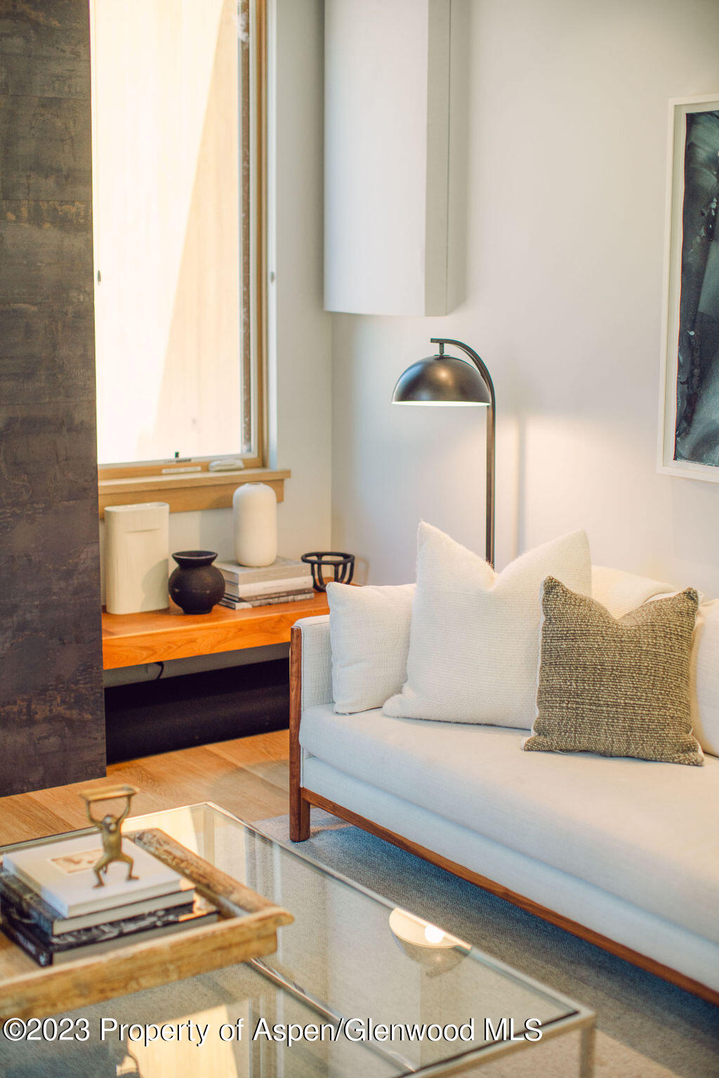 1006 E Cooper Avenue Aspen CO 81611