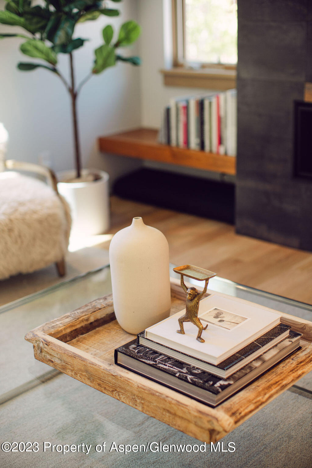 1006 E Cooper Avenue Aspen CO 81611