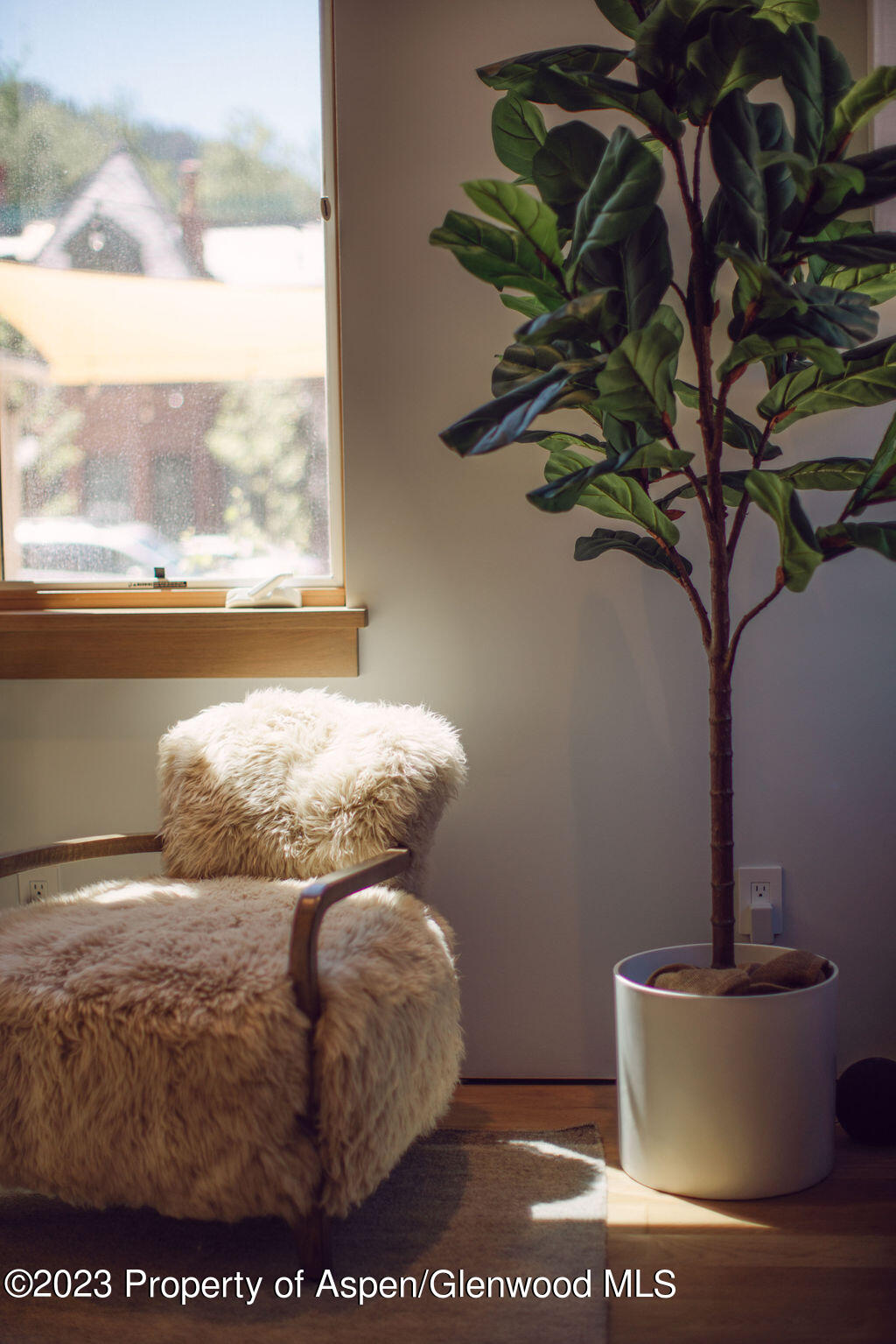 1006 E Cooper Avenue Aspen CO 81611