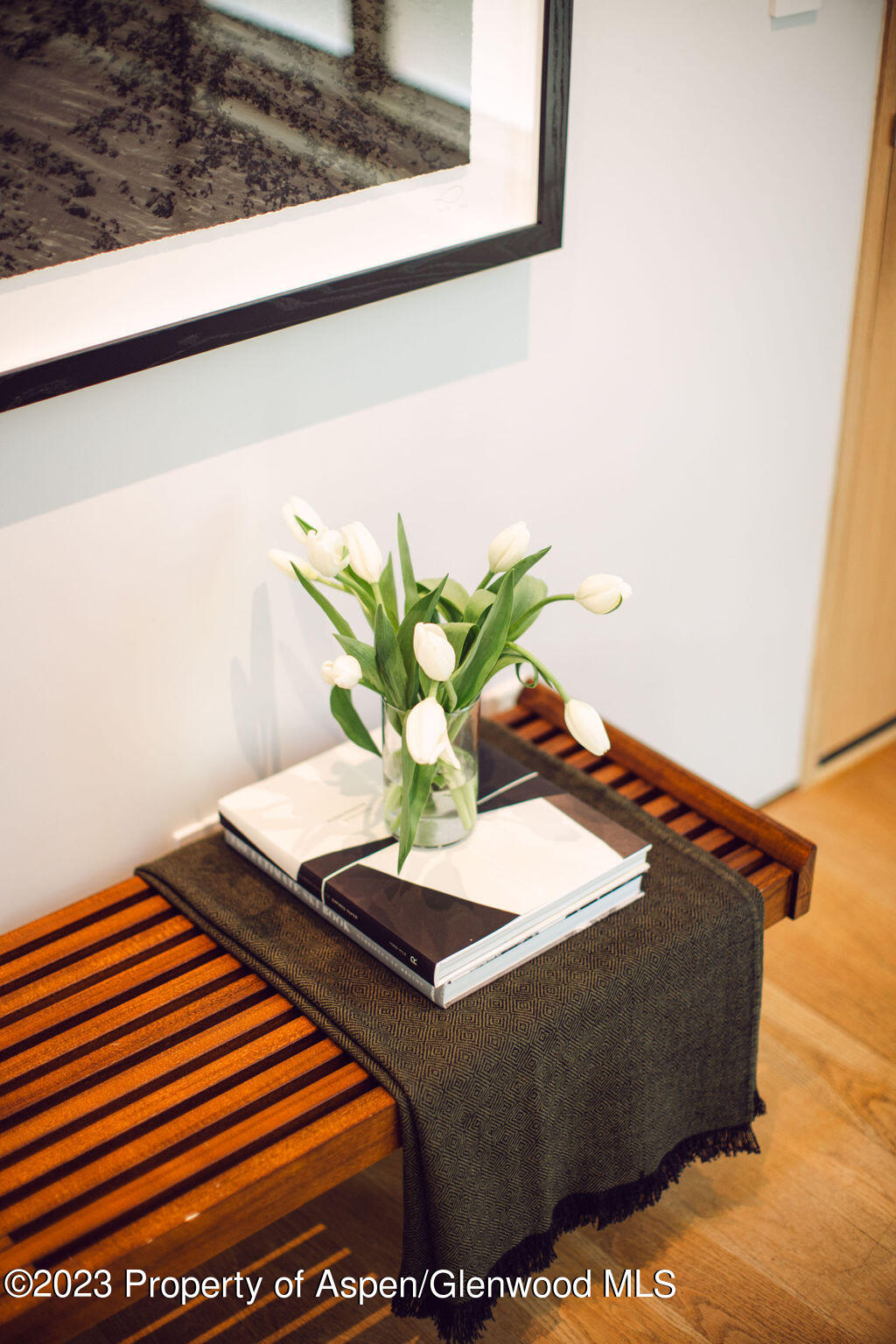 1006 E Cooper Avenue Aspen CO 81611