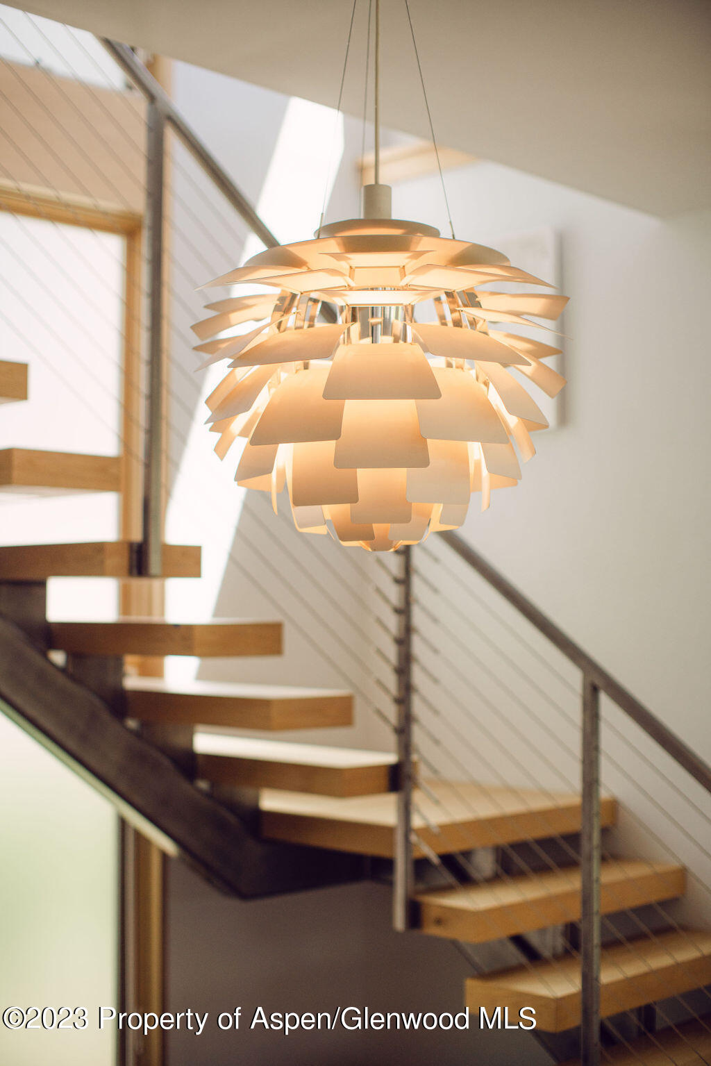 1006 E Cooper Avenue Aspen CO 81611