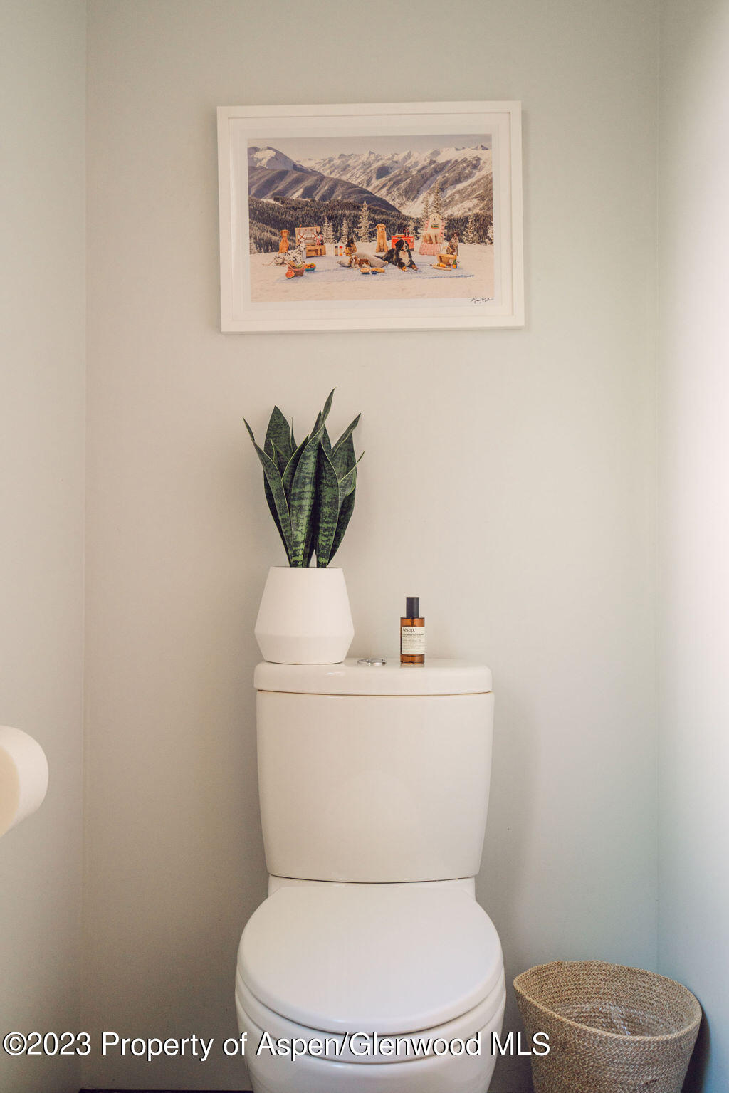 1006 E Cooper Avenue Aspen CO 81611