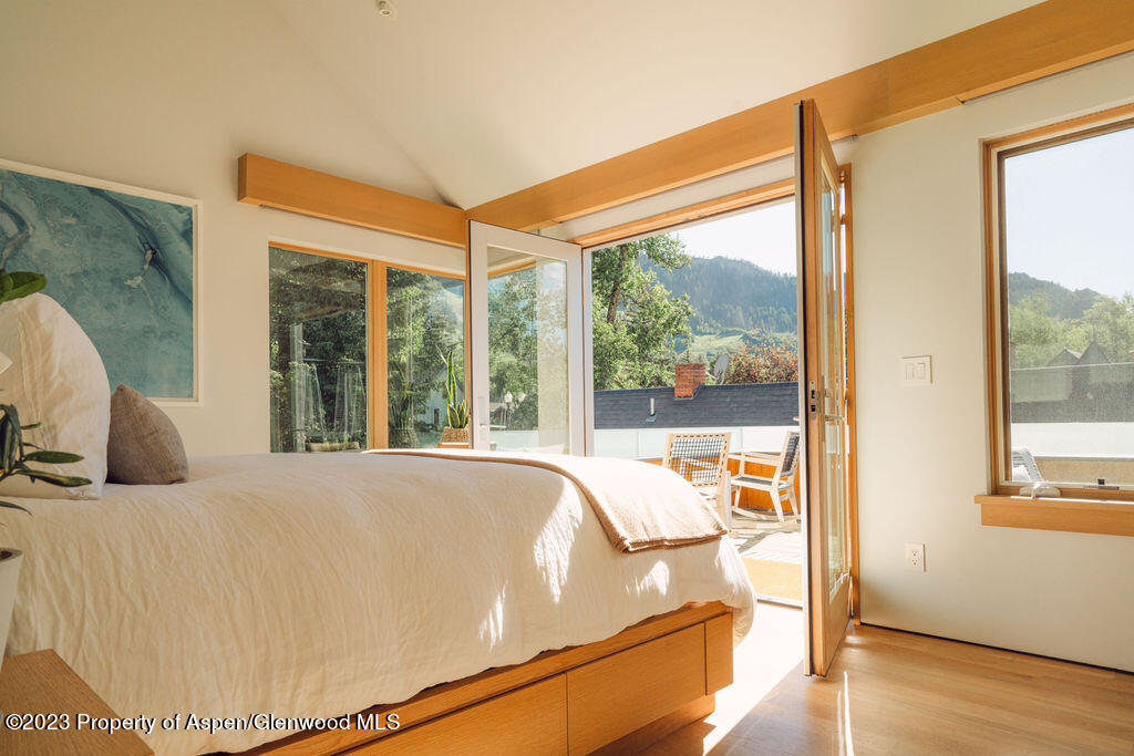 1006 E Cooper Avenue Aspen CO 81611