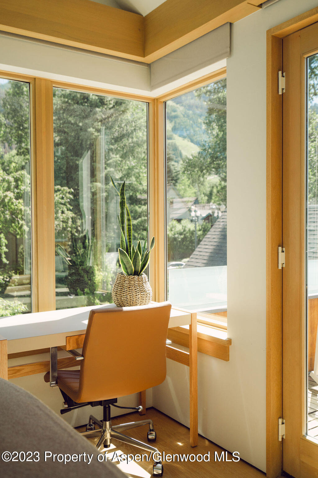 1006 E Cooper Avenue Aspen CO 81611