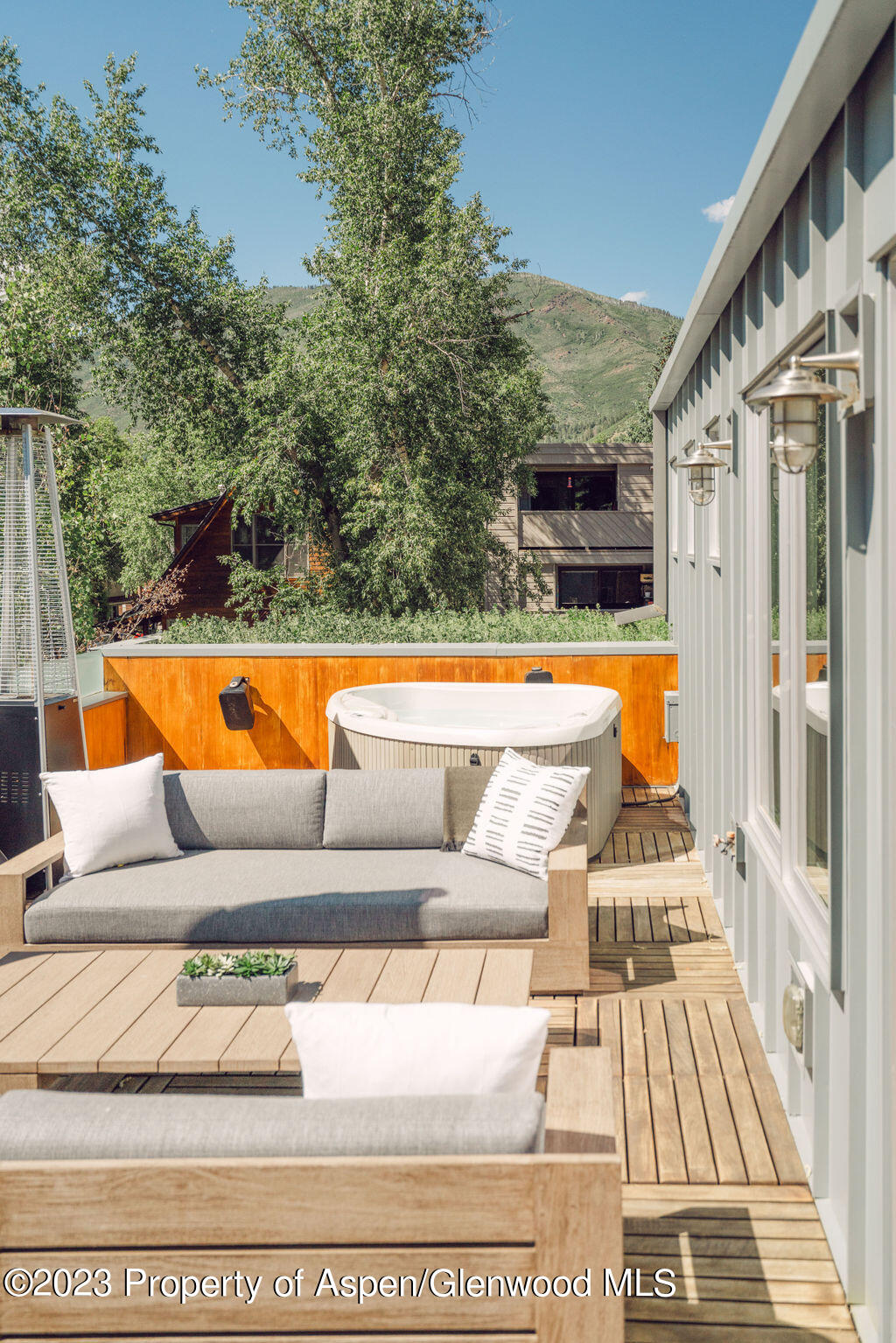 1006 E Cooper Avenue Aspen CO 81611