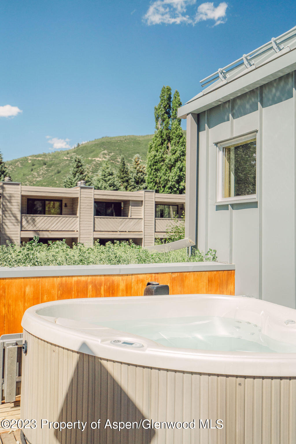 1006 E Cooper Avenue Aspen CO 81611