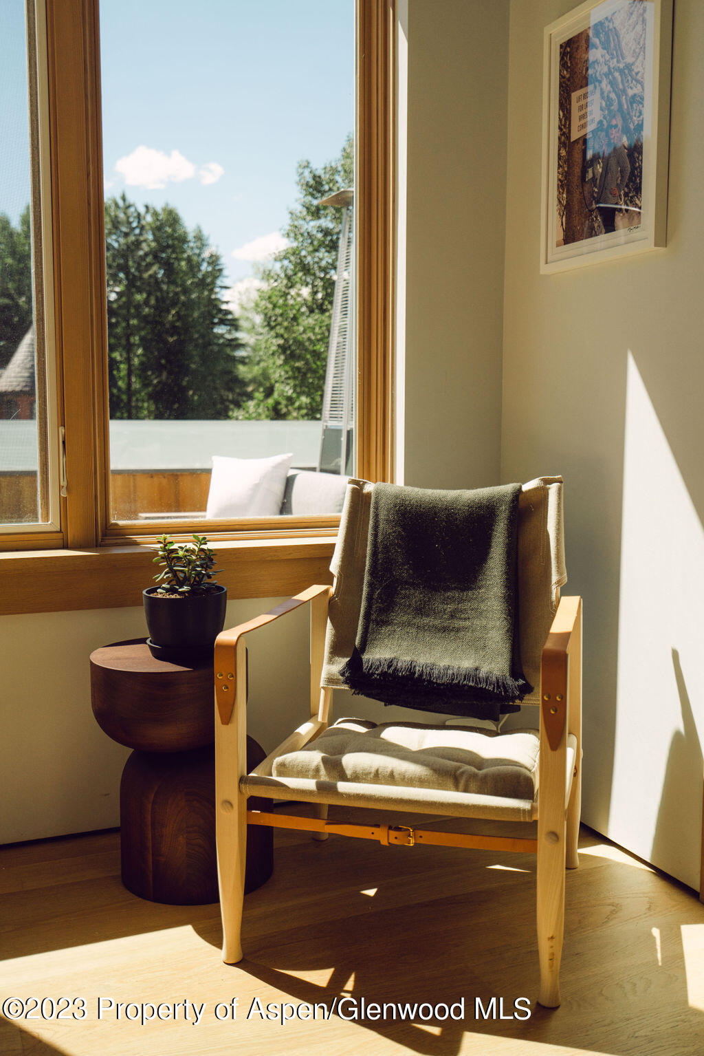 1006 E Cooper Avenue Aspen CO 81611