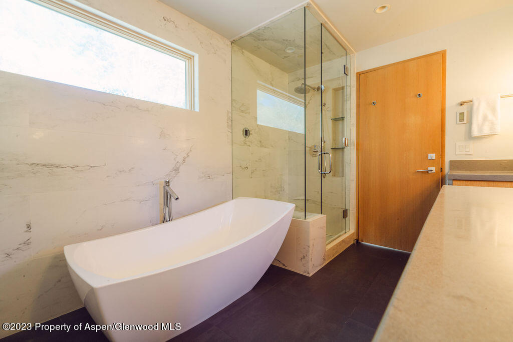 1006 E Cooper Avenue Aspen CO 81611