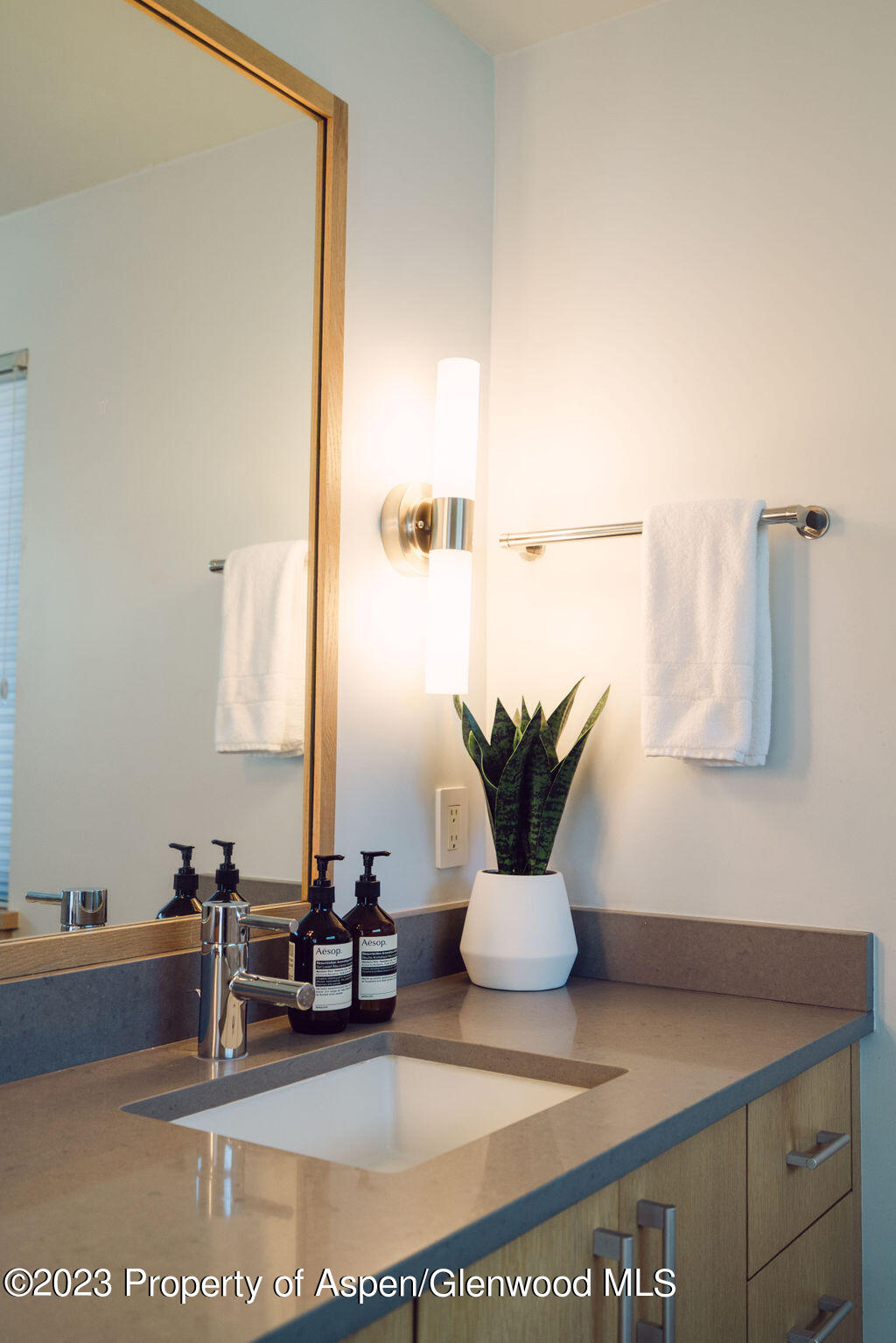 1006 E Cooper Avenue Aspen CO 81611