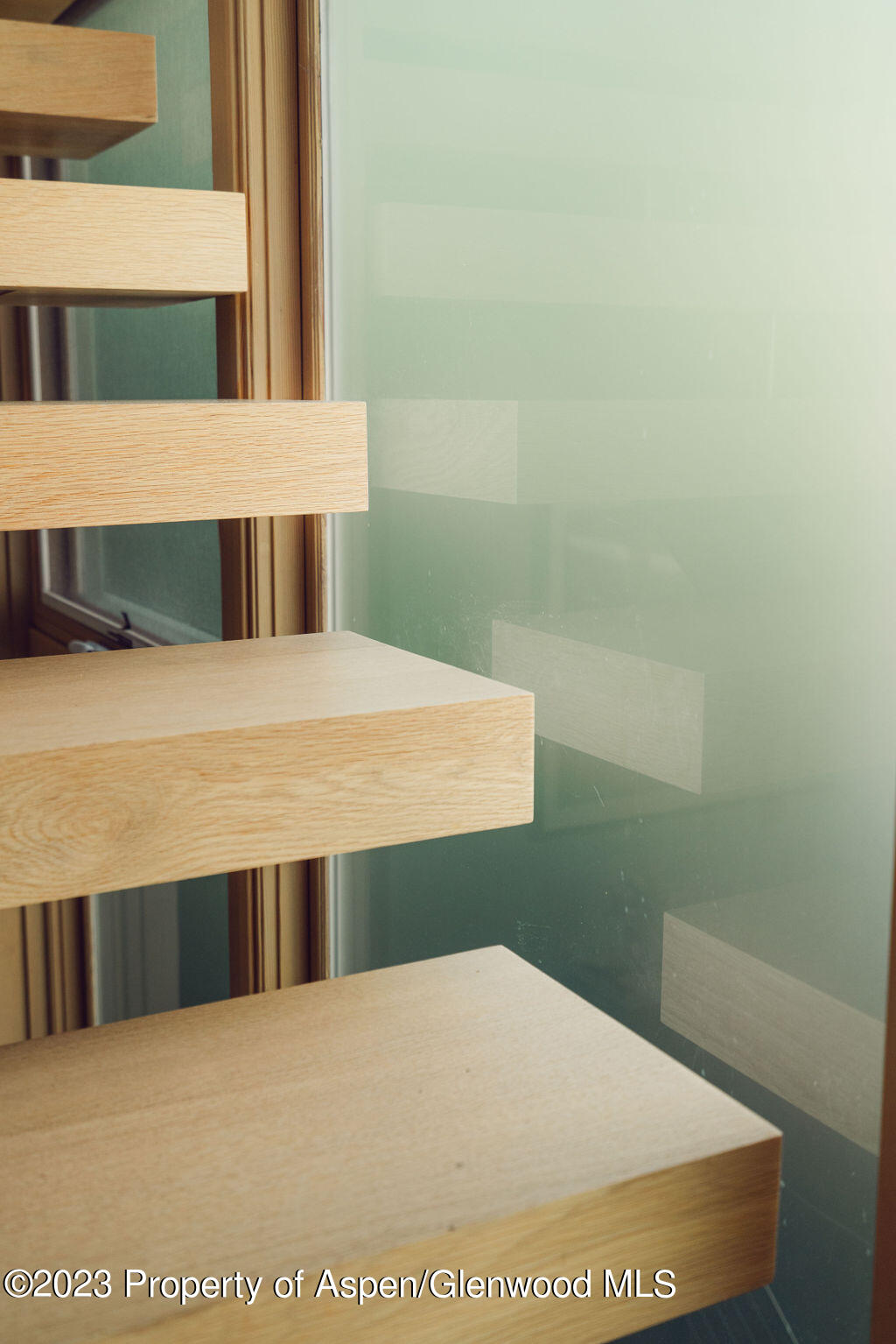 1006 E Cooper Avenue Aspen CO 81611