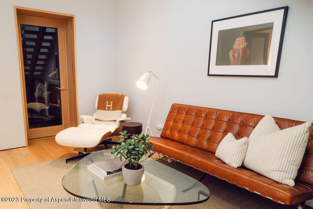 1006 E Cooper Avenue Aspen CO 81611