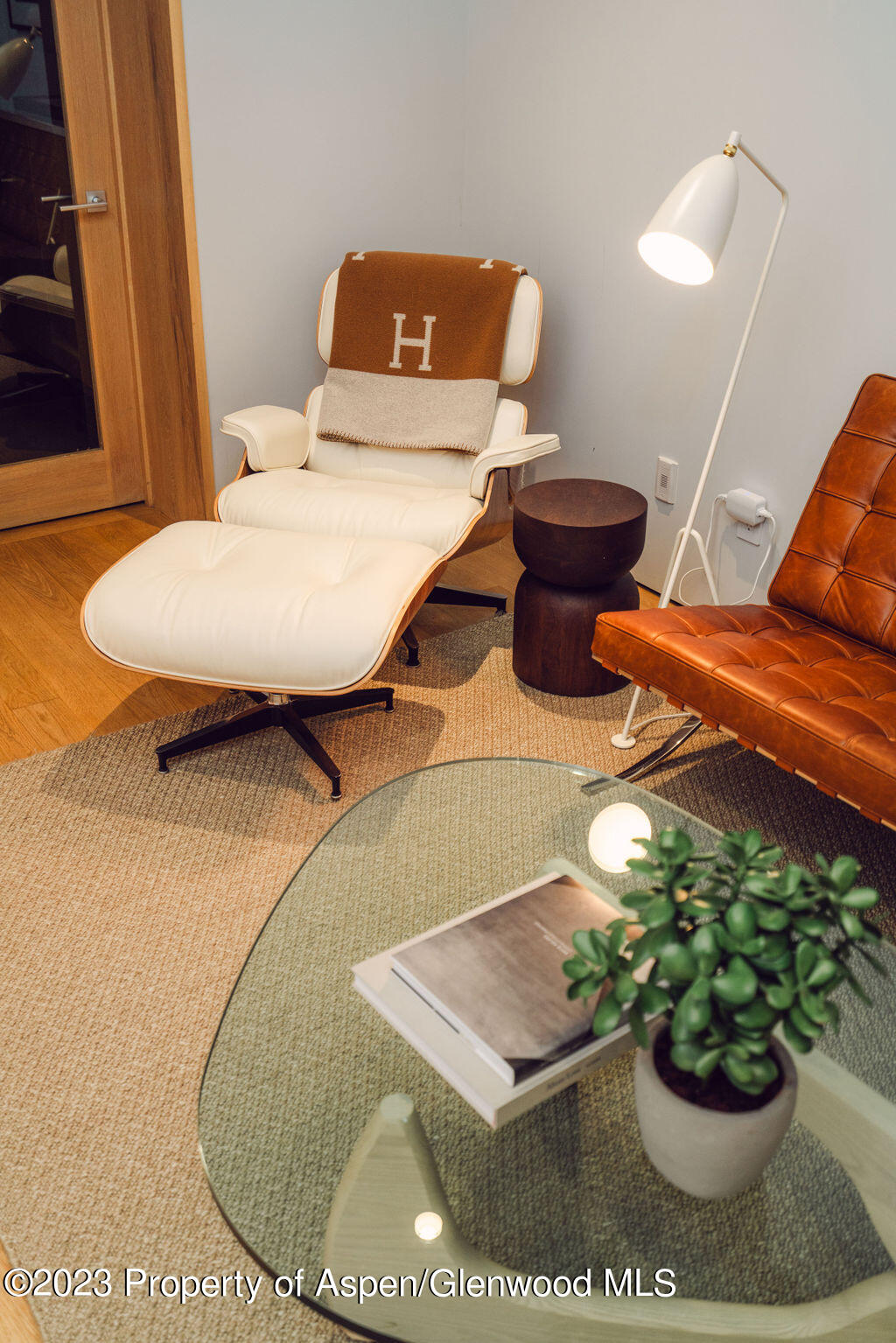 1006 E Cooper Avenue Aspen CO 81611