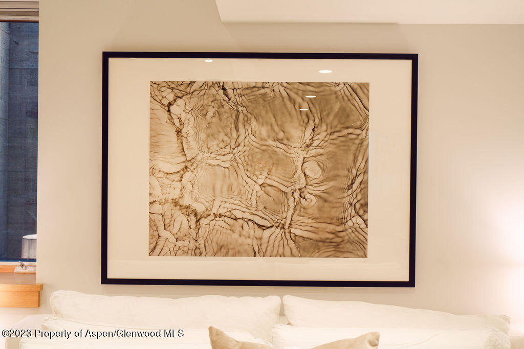 1006 E Cooper Avenue Aspen CO 81611