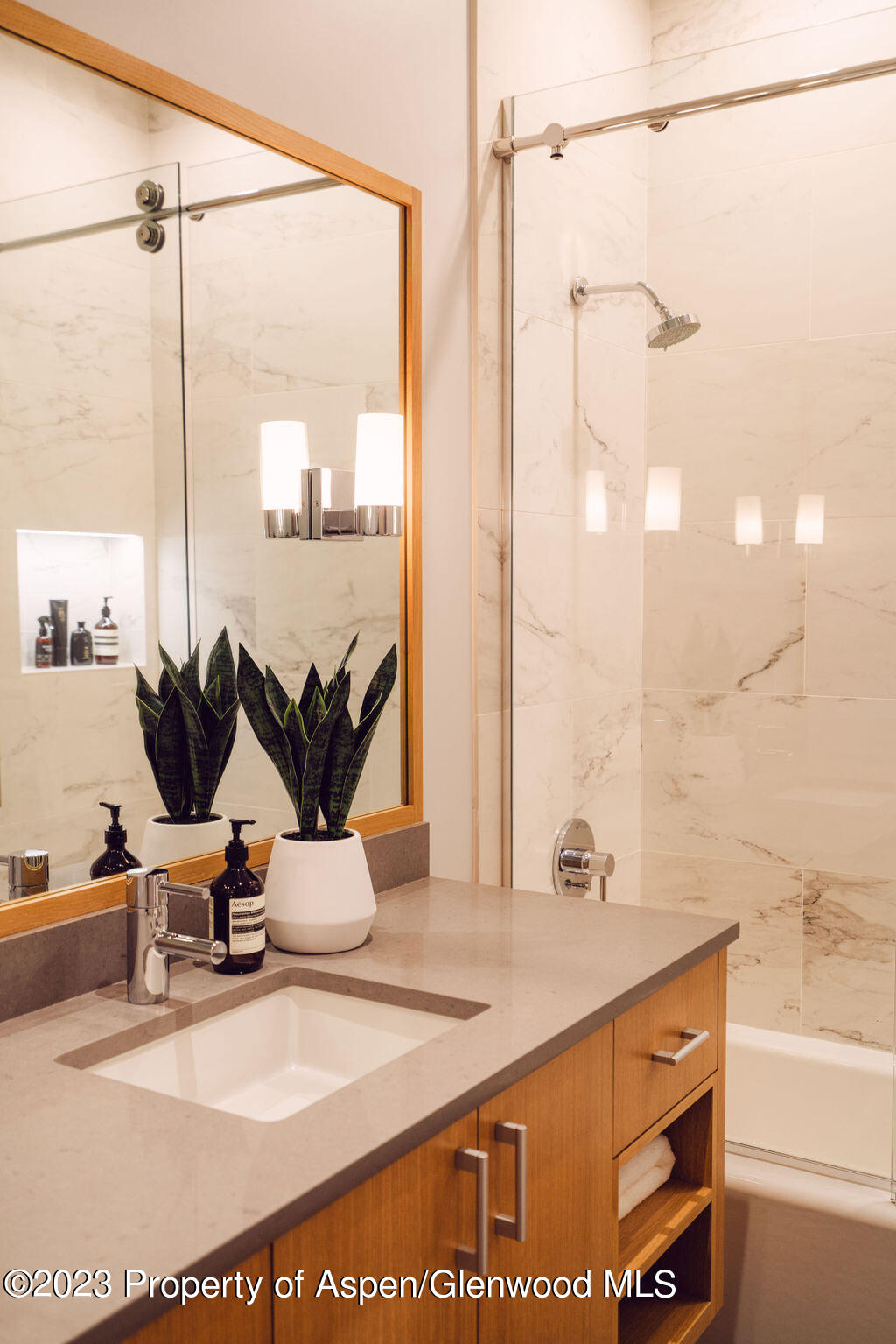 1006 E Cooper Avenue Aspen CO 81611