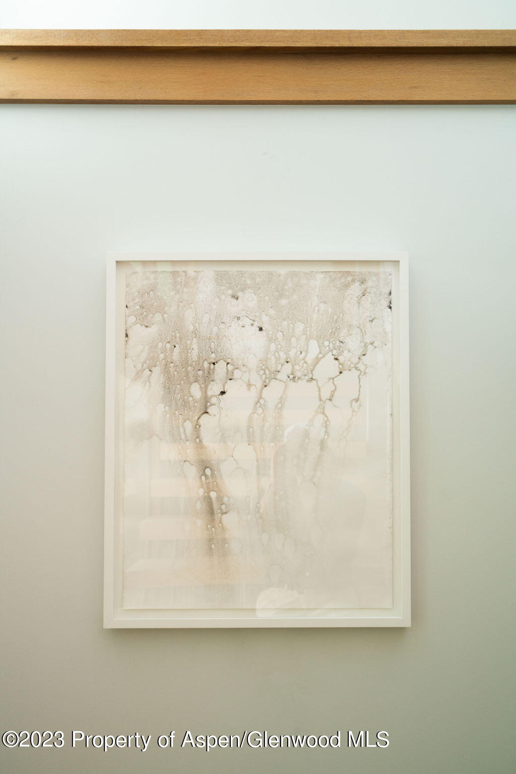 1006 E Cooper Avenue Aspen CO 81611