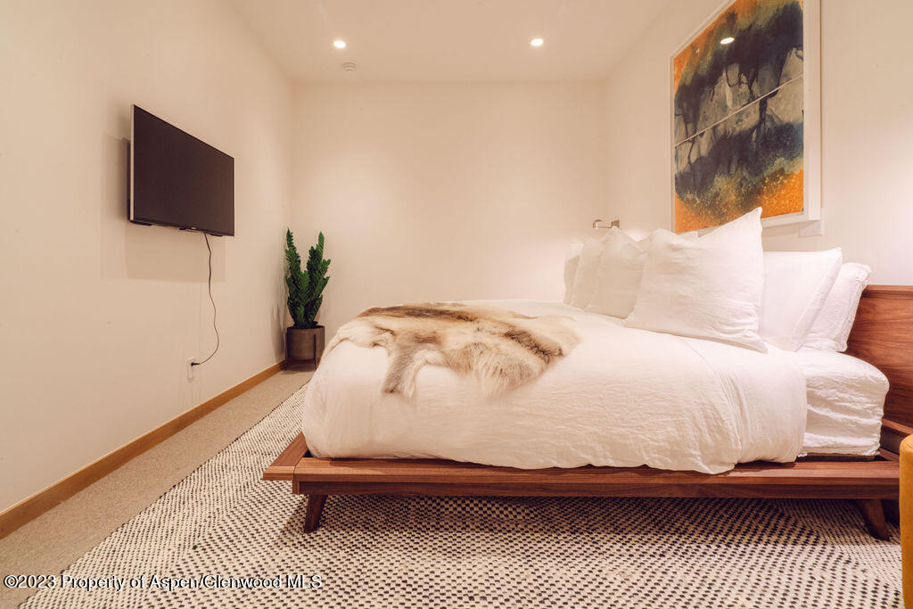 1006 E Cooper Avenue Aspen CO 81611