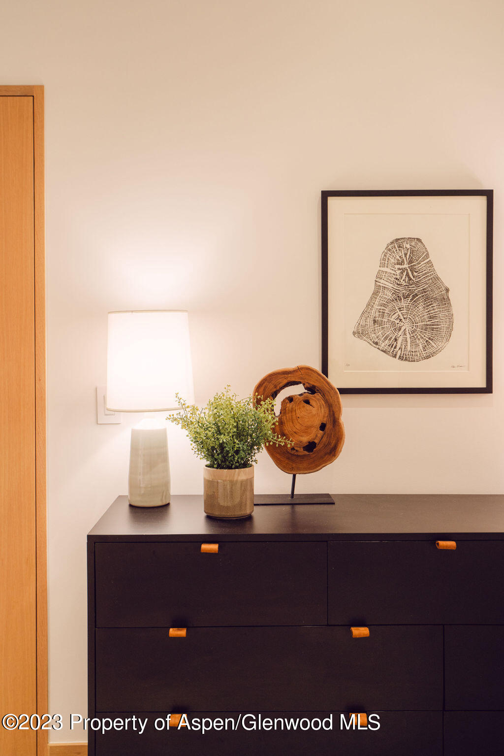 1006 E Cooper Avenue Aspen CO 81611