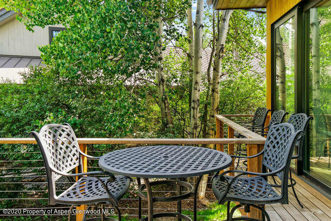 1250 Snowbunny Lane Aspen CO 81611