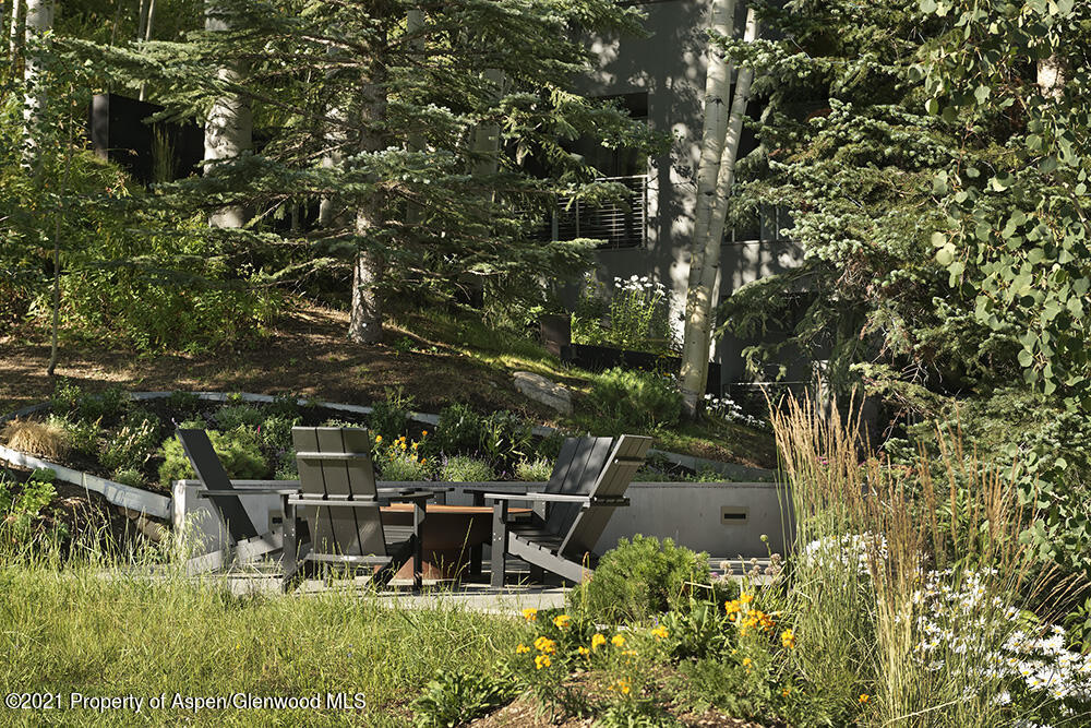 546 Edgewood Lane Snowmass Village CO 81615