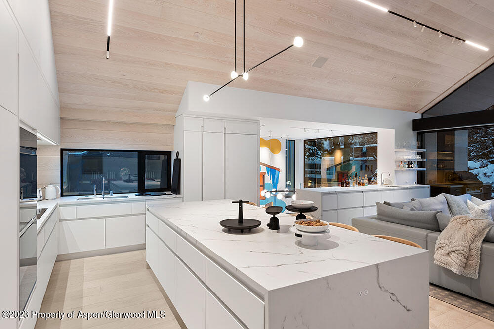 630 W Hopkins Avenue Aspen CO 81611