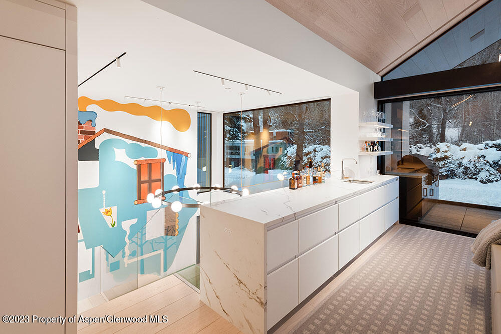 630 W Hopkins Avenue Aspen CO 81611