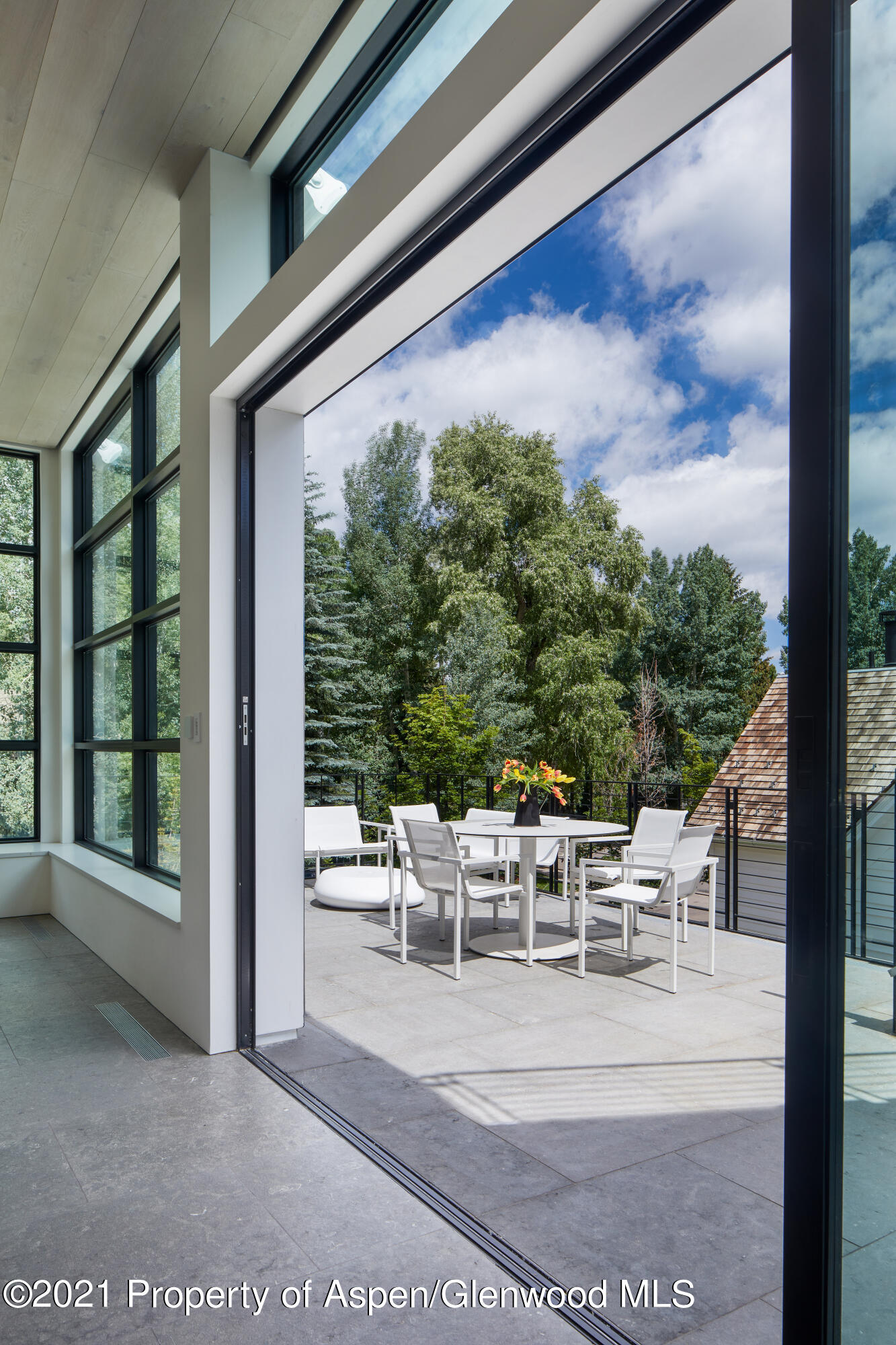 210 S 1st Street Aspen CO 81611