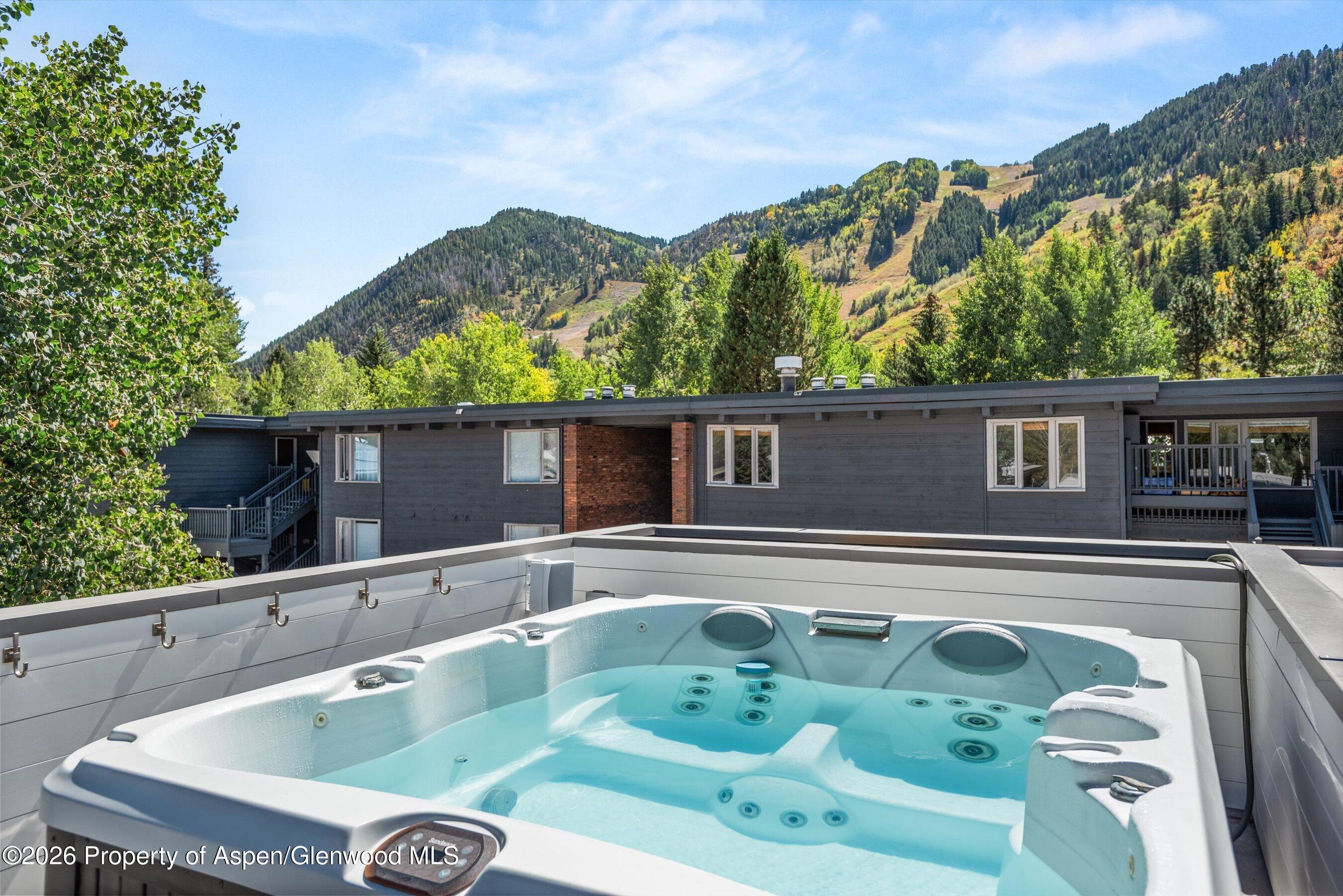 210 S 1st Street Aspen CO 81611