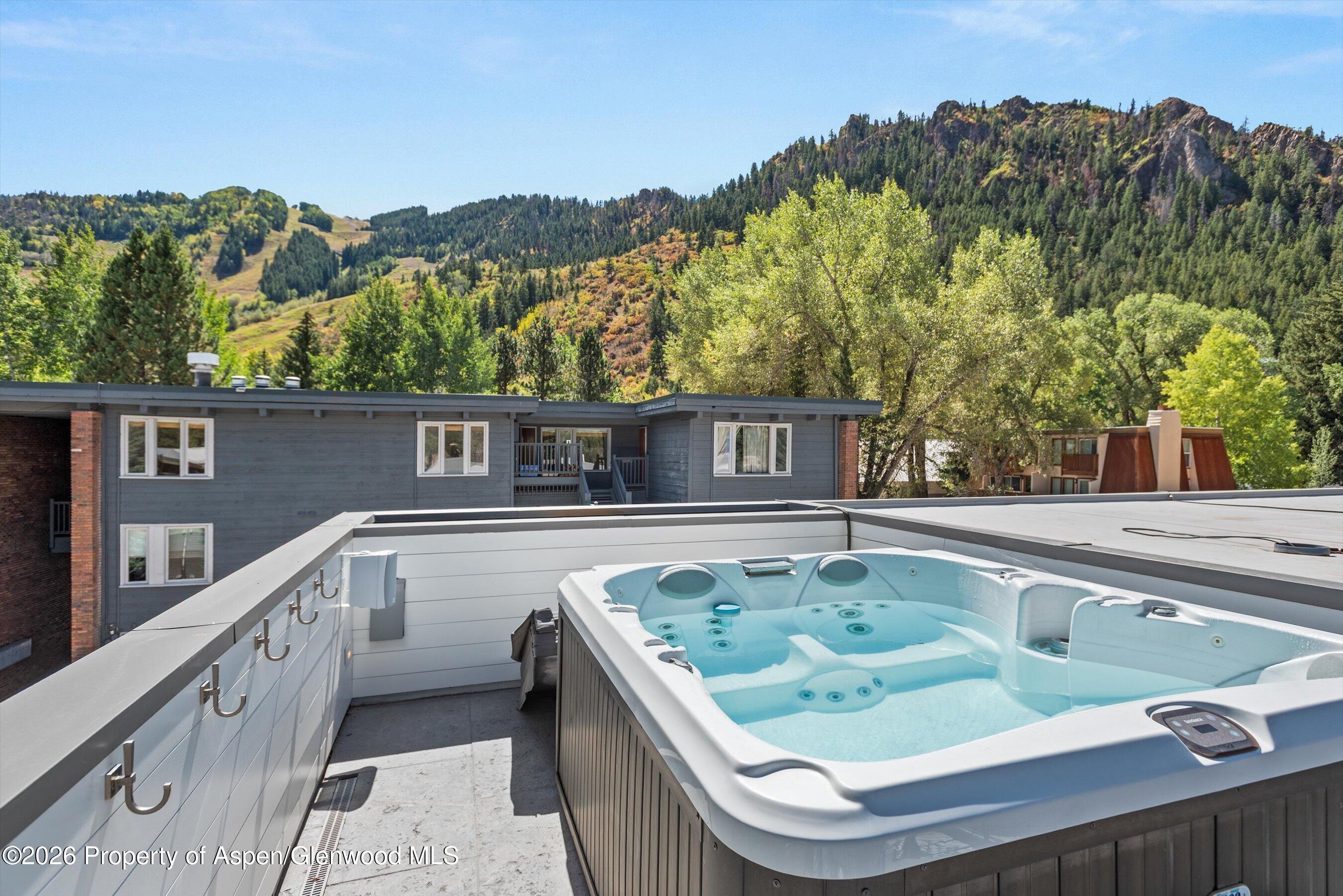 210 S 1st Street Aspen CO 81611