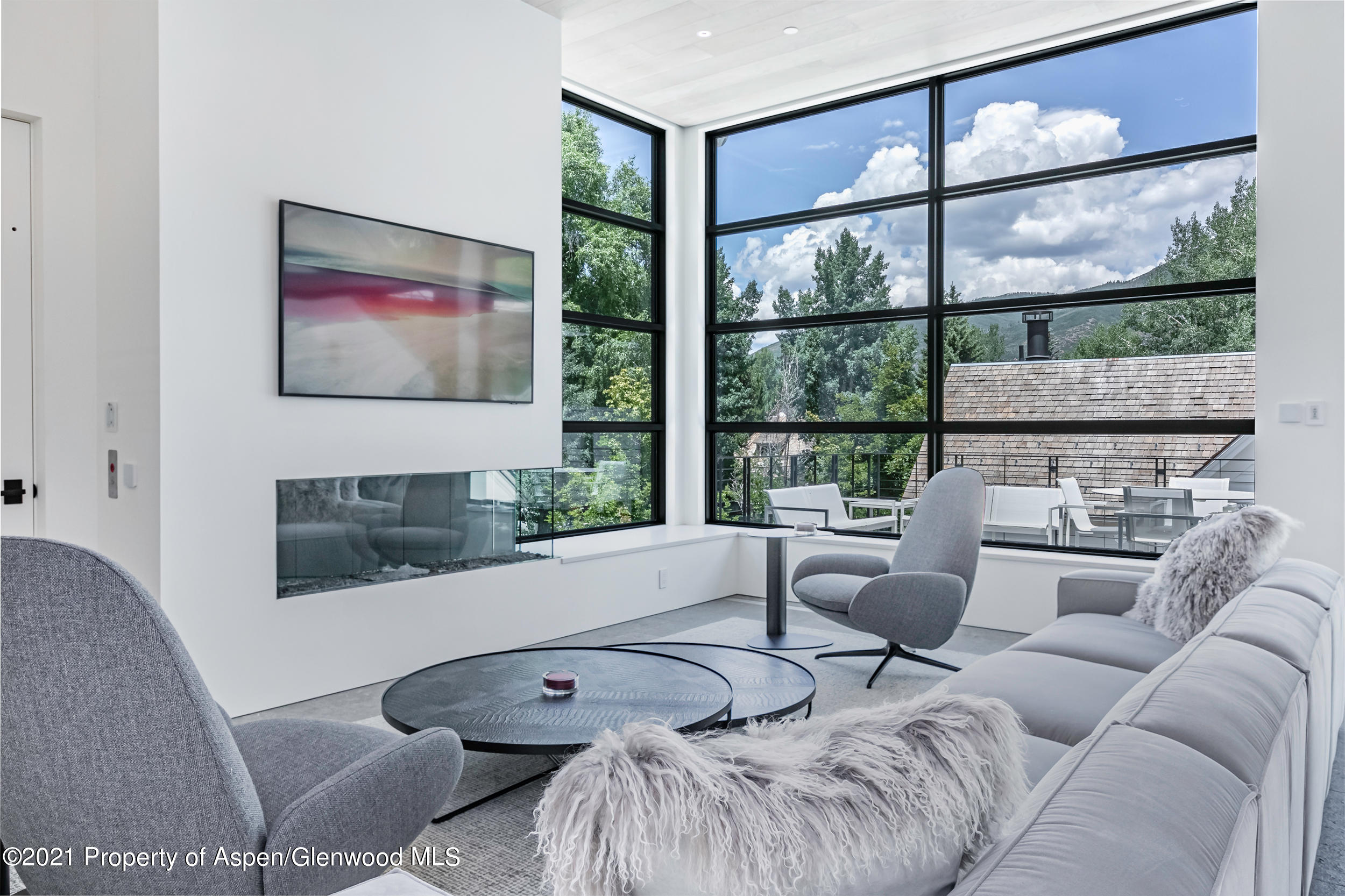 210 S 1st Street Aspen CO 81611