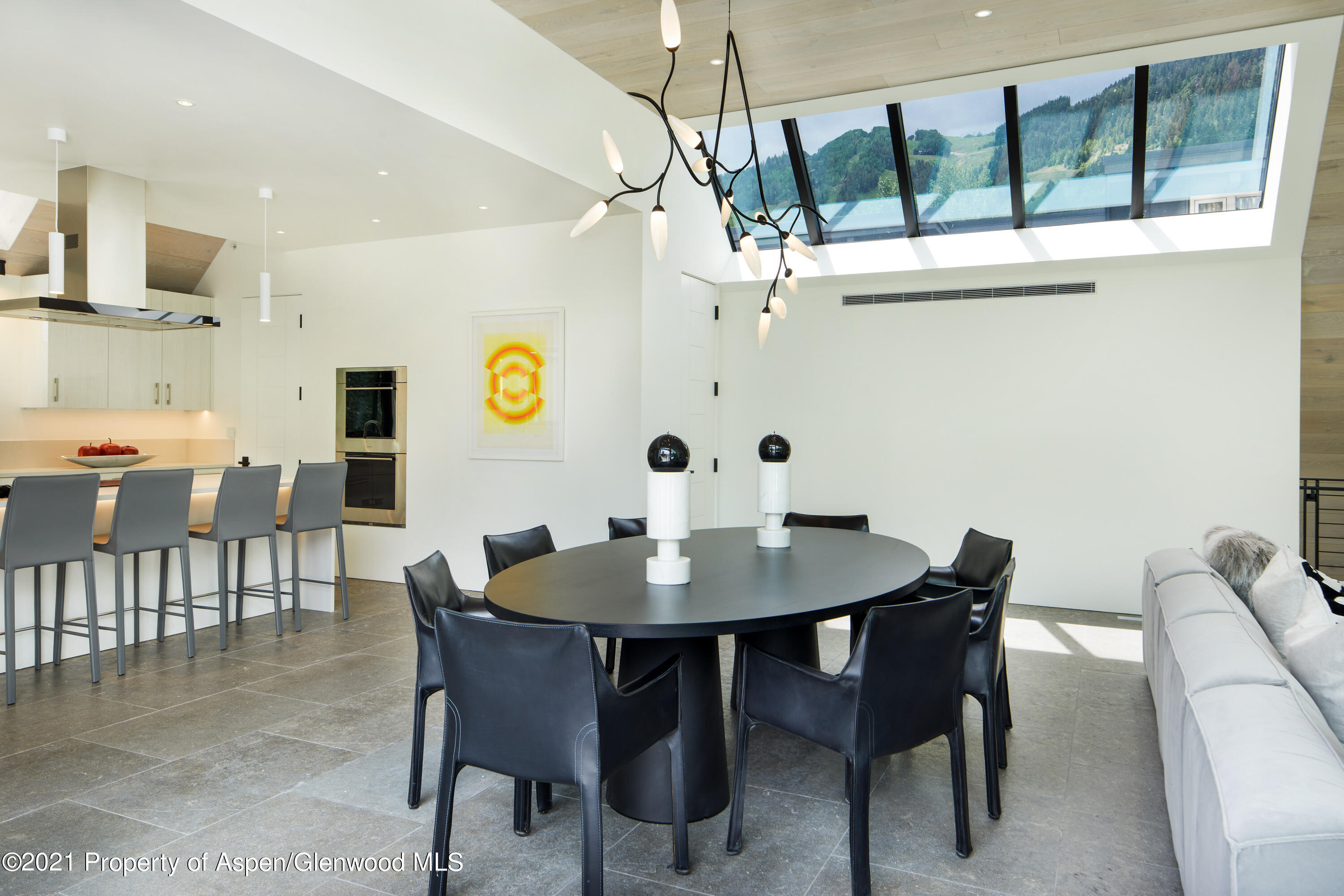 210 S 1st Street Aspen CO 81611