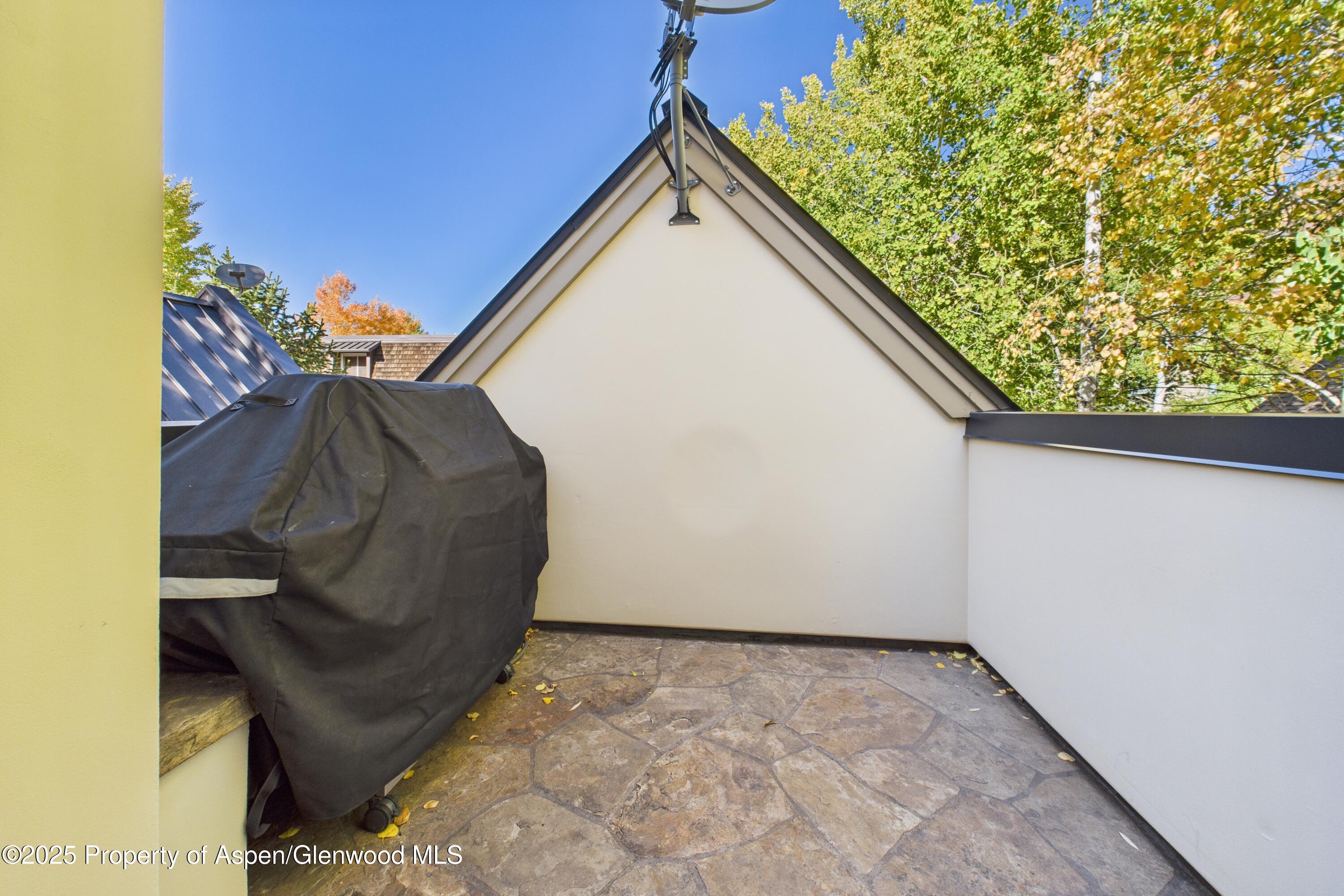 914 E Cooper Avenue Aspen CO 81611