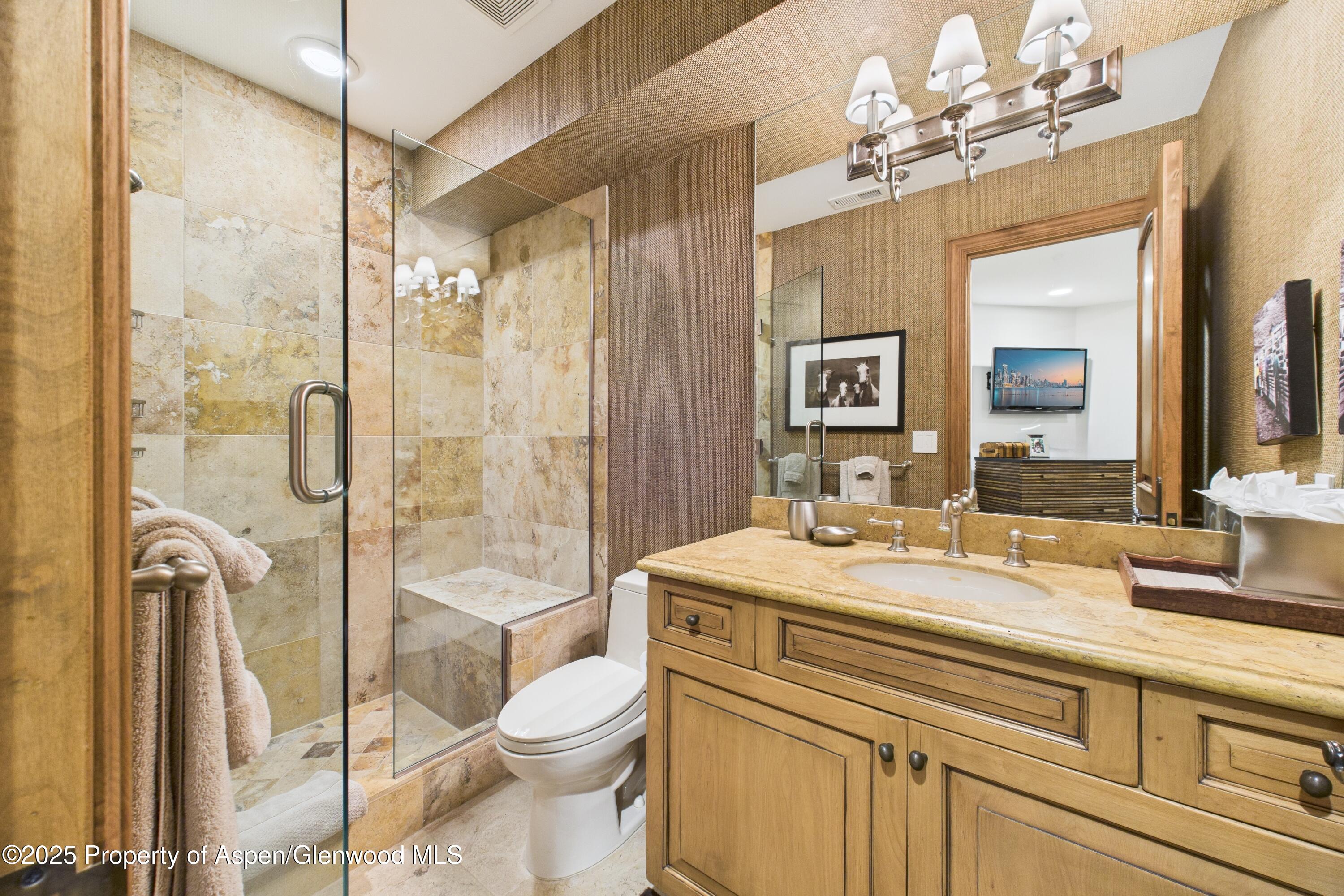 914 E Cooper Avenue Aspen CO 81611