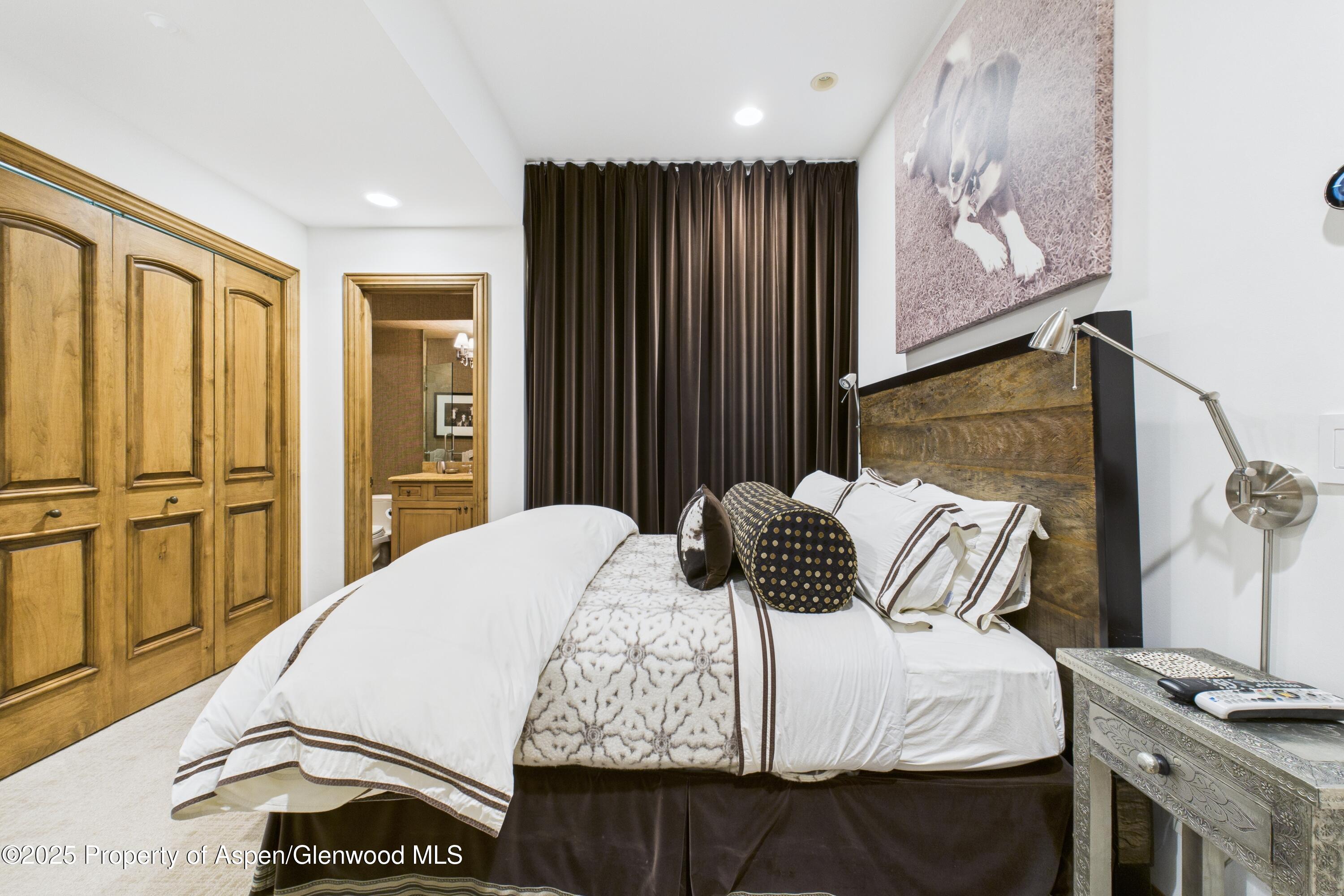 914 E Cooper Avenue Aspen CO 81611