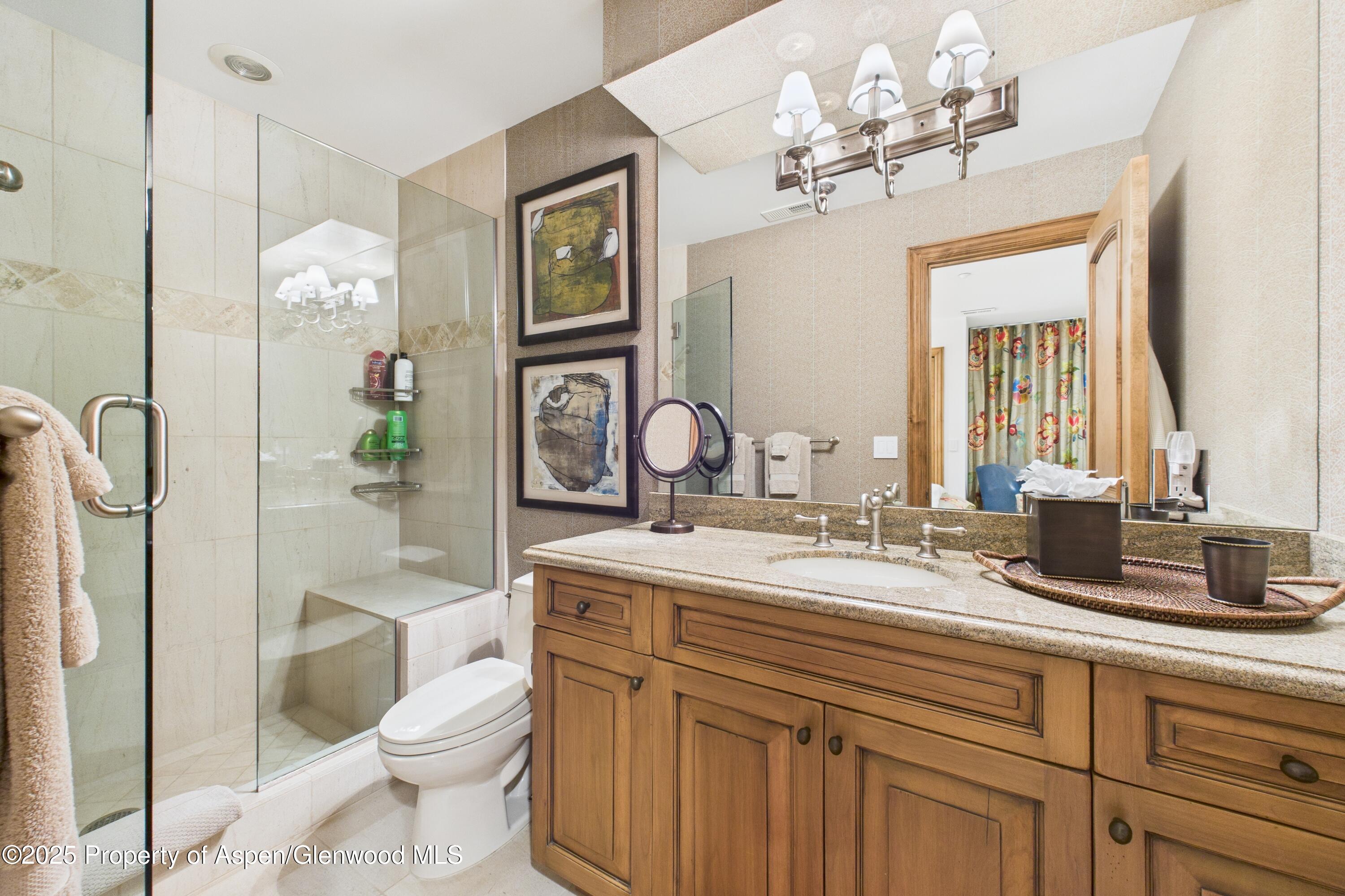 914 E Cooper Avenue Aspen CO 81611