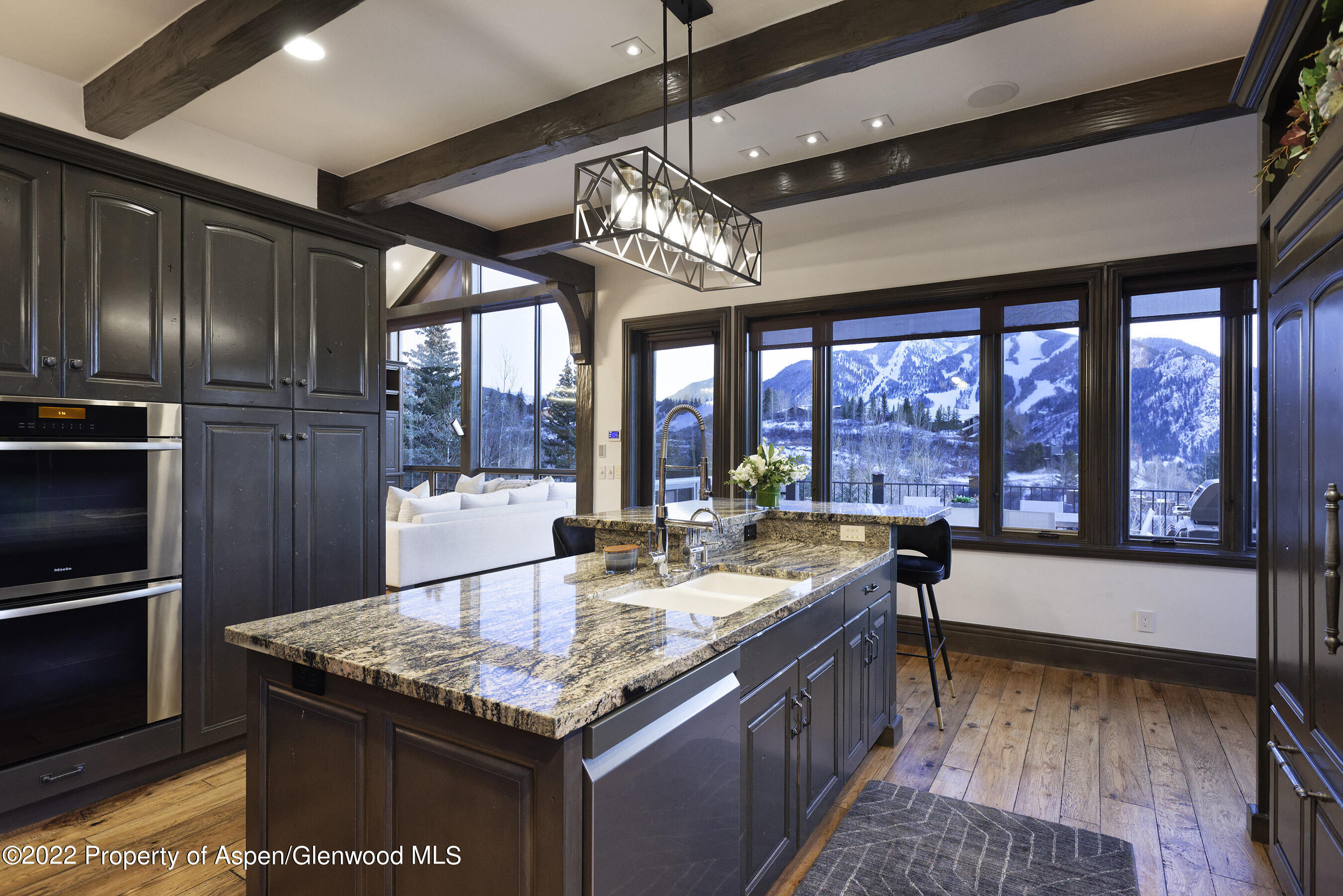 349 Draw Drive Aspen CO 81611