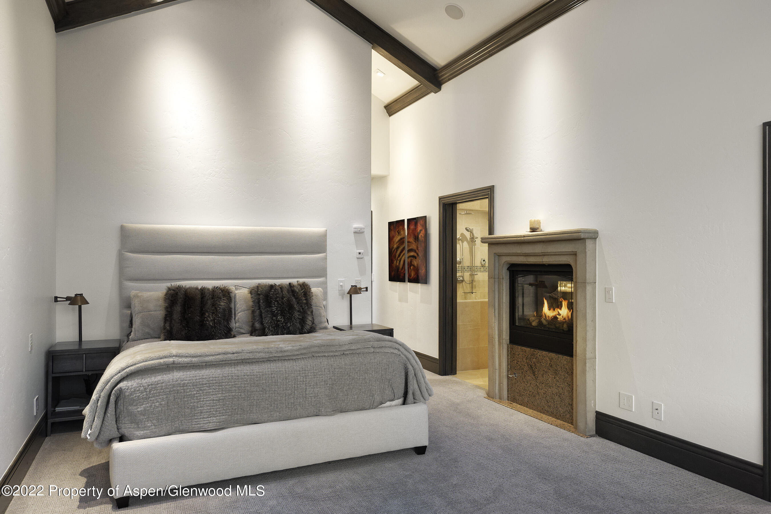 349 Draw Drive Aspen CO 81611