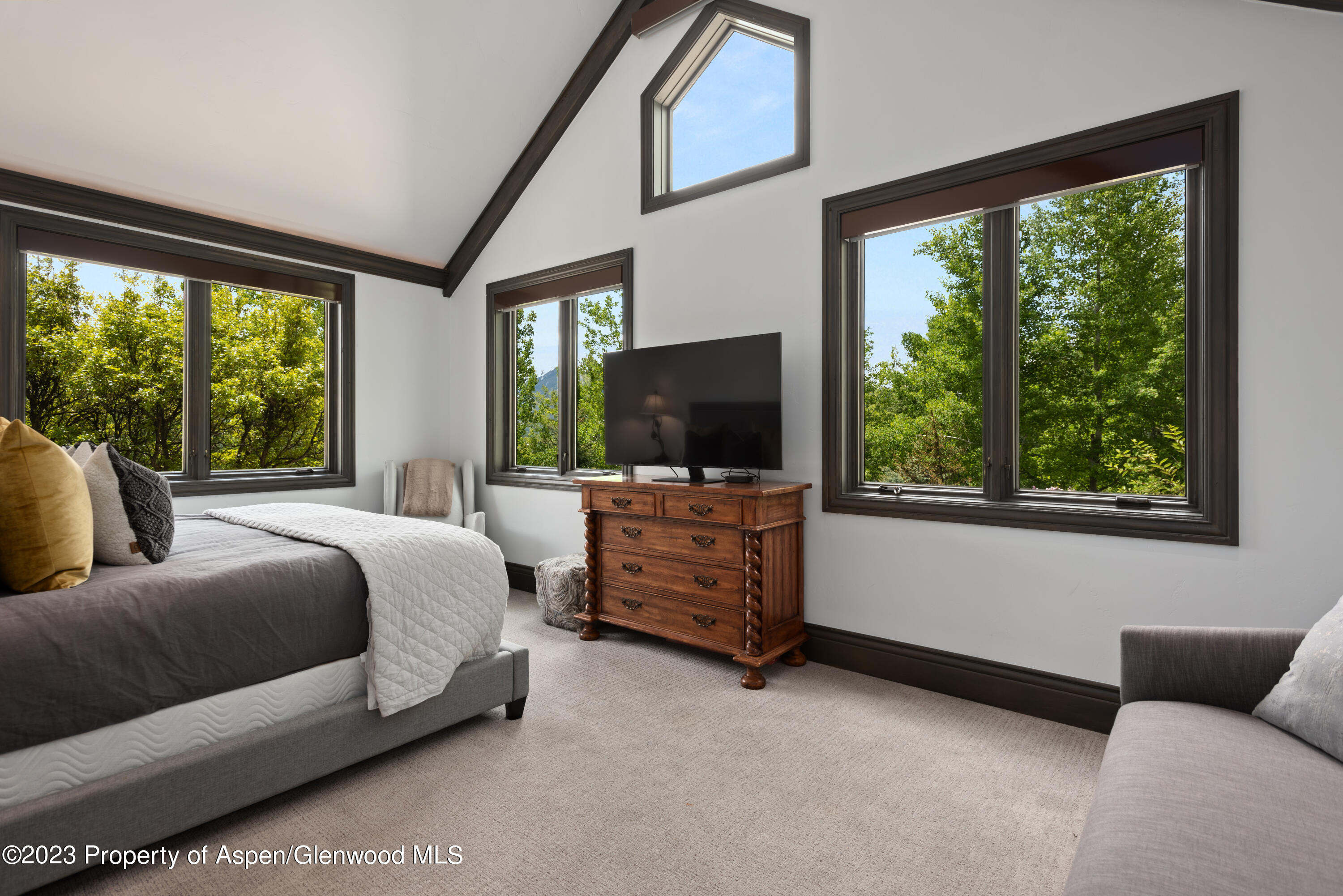 349 Draw Drive Aspen CO 81611