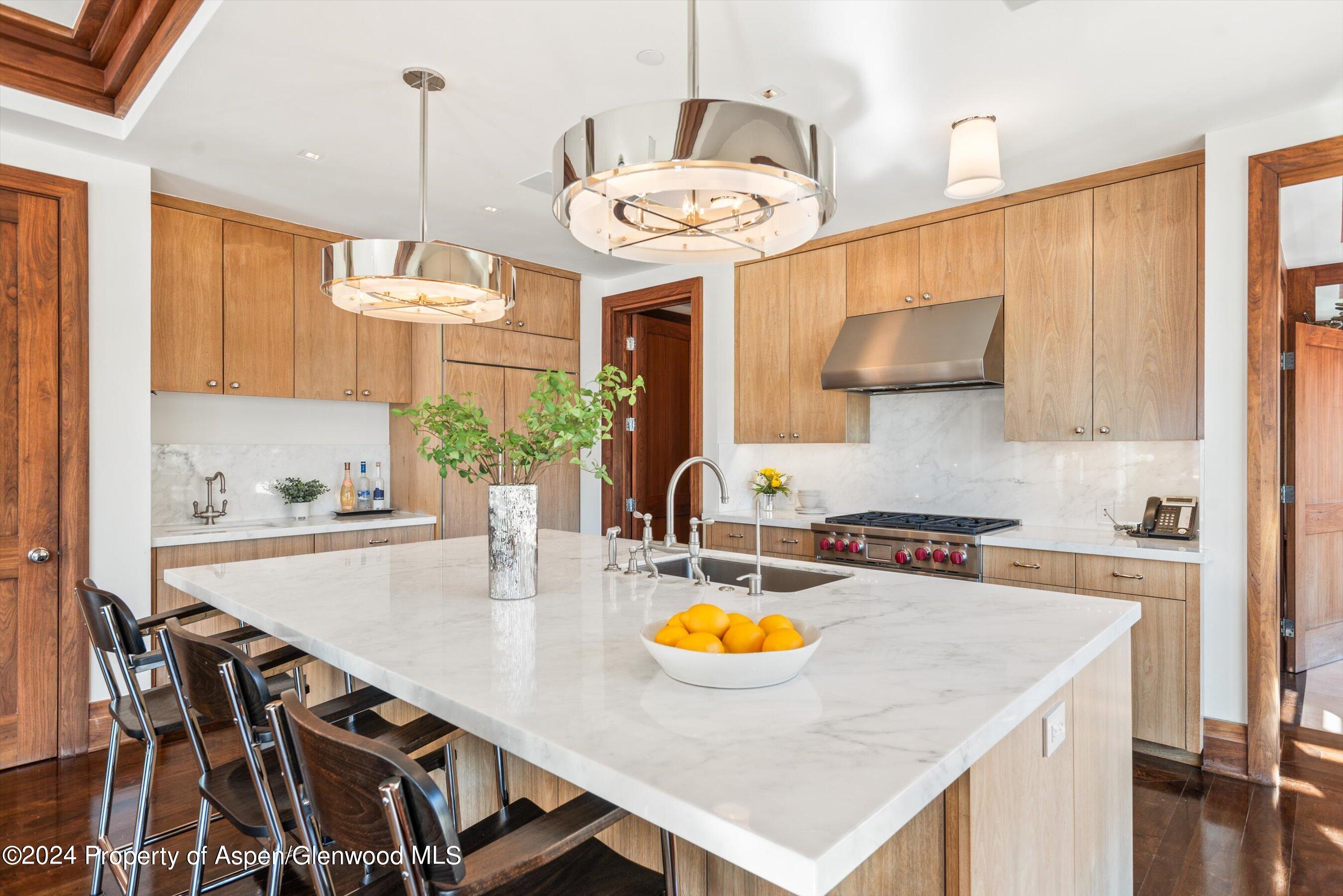 632 E Hopkins 301 Aka 119 S Spring Street Aspen CO 81611