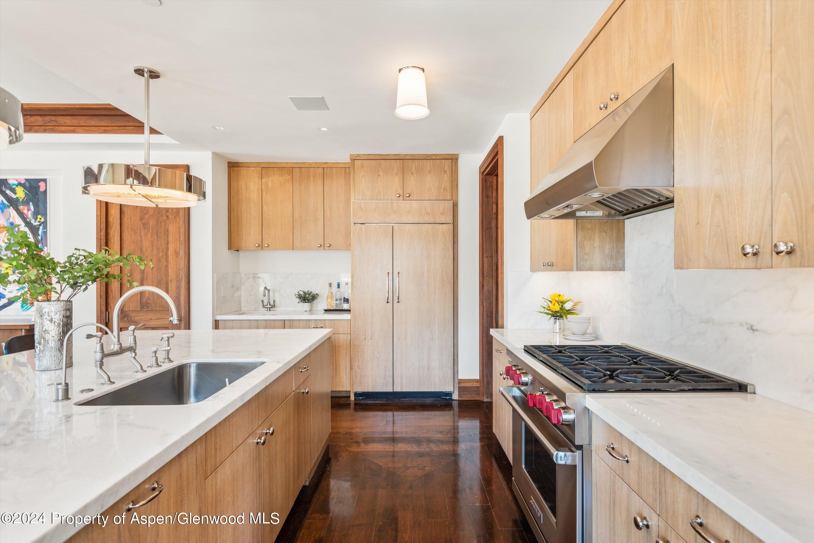 632 E Hopkins 301 Aka 119 S Spring Street Aspen CO 81611